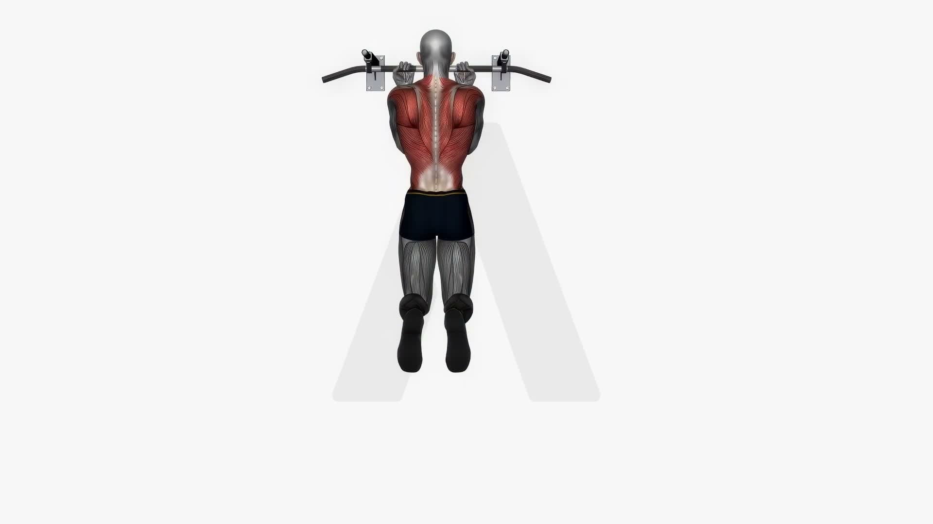Chin Up Reverse Normal Grip exercise demonstration