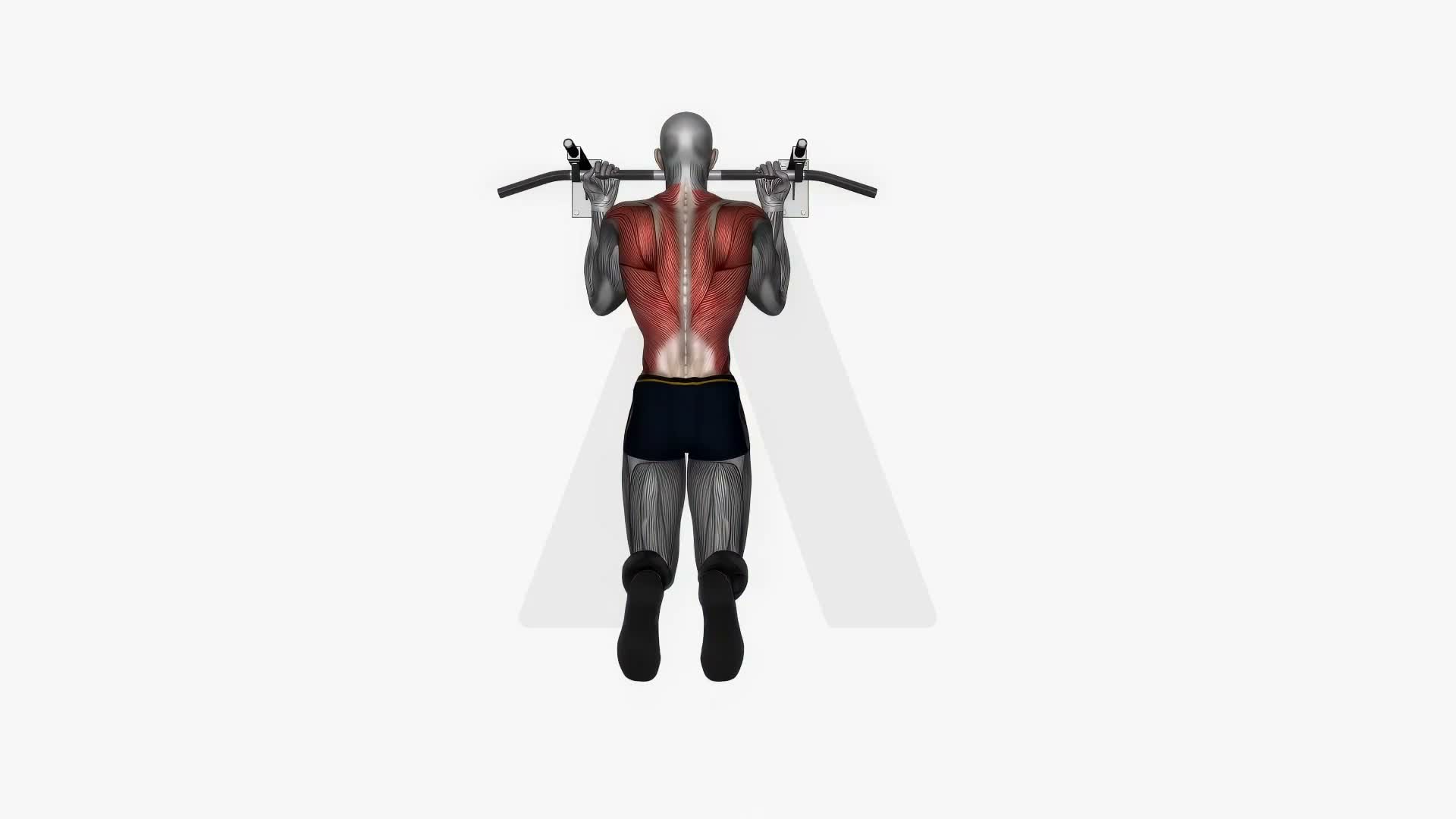 Chin Up Reverse Wide Grip exercise demonstration