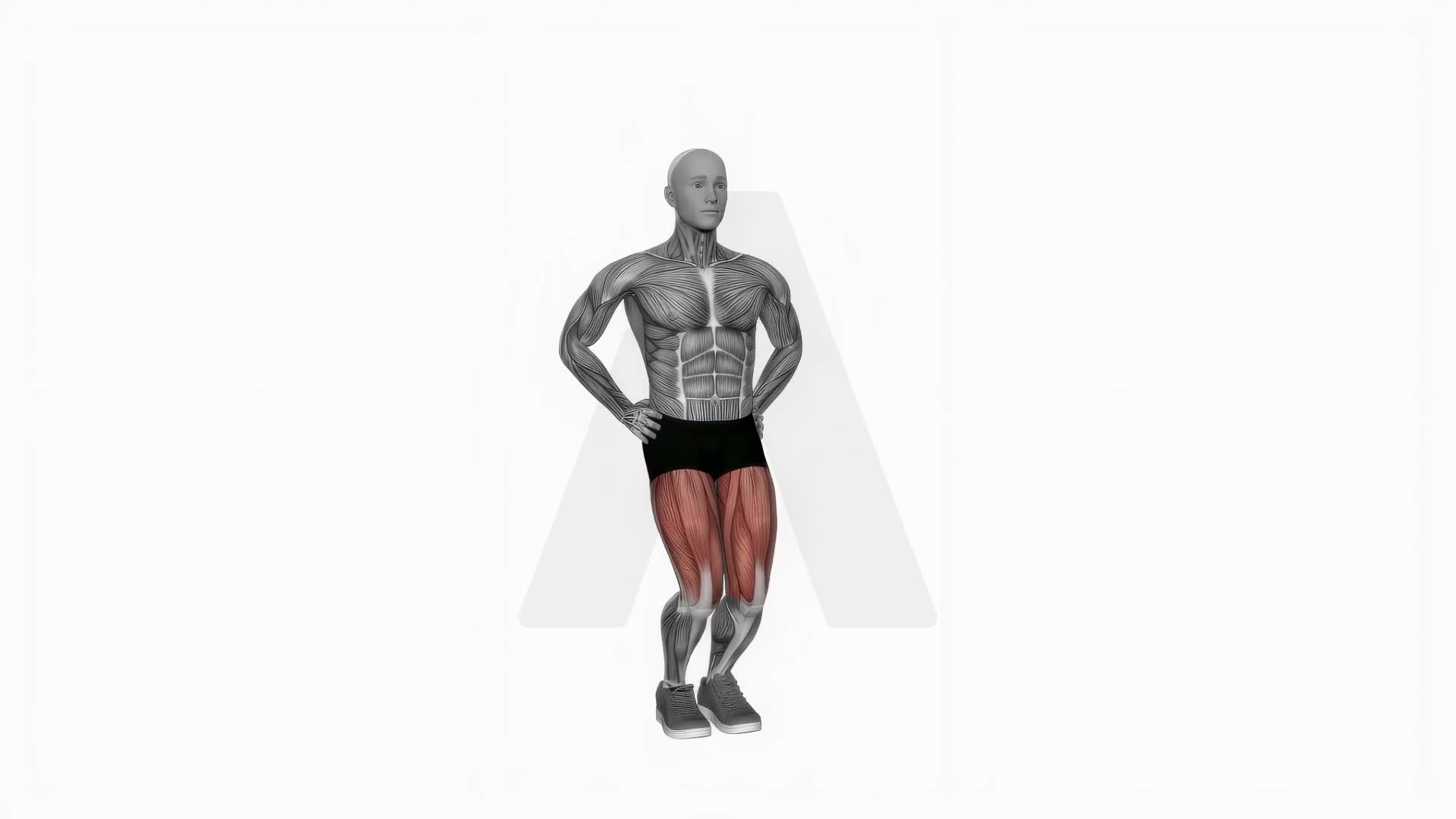 Circles Knee Stretch exercise demonstration