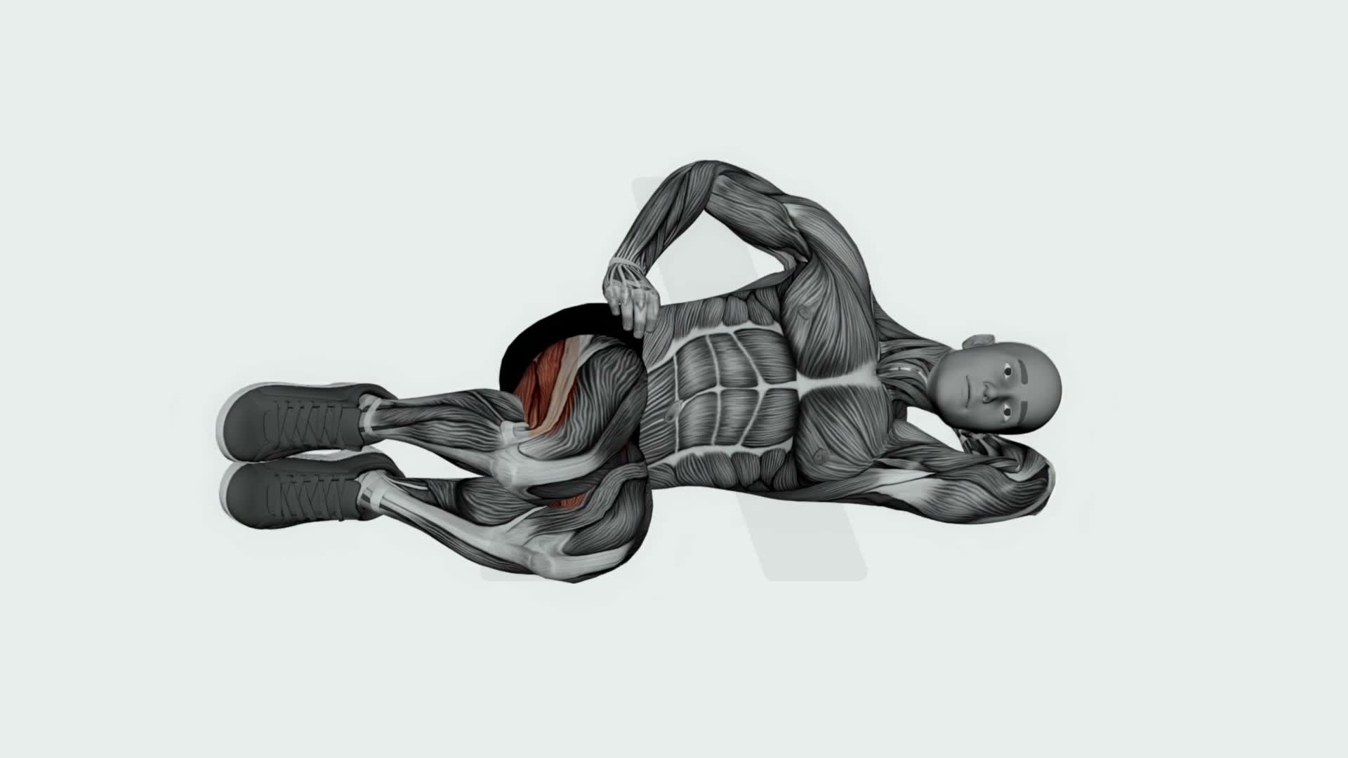 Clamshell exercise demonstration