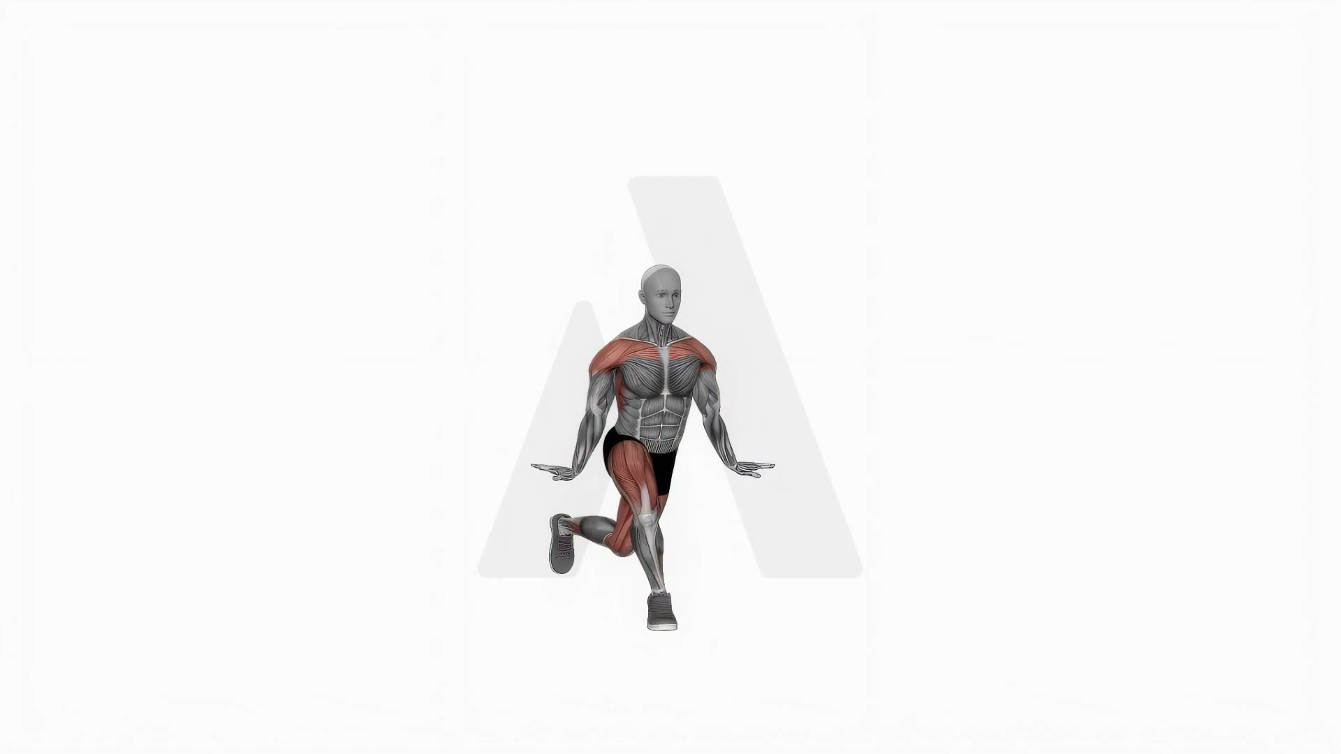 Clap Curtsy Squat exercise demonstration