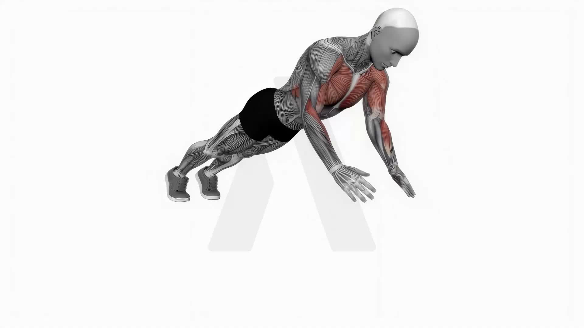 Clap Push Ups exercise demonstration
