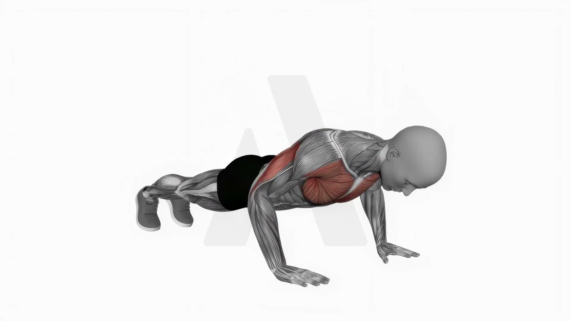Clock Push Ups exercise demonstration