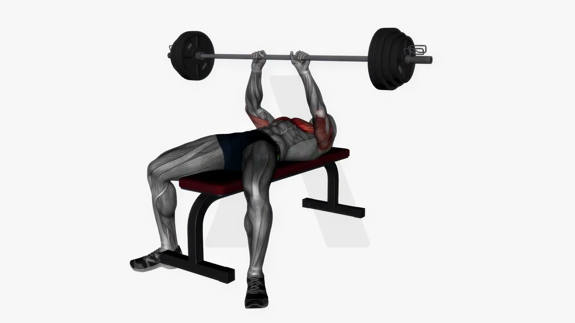 Close-Grip Bench Press exercise demonstration