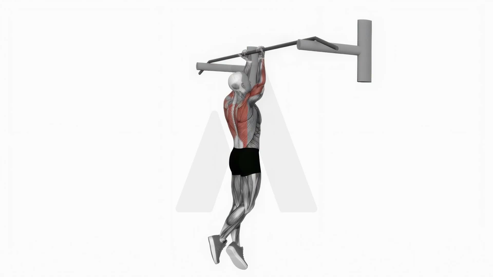 Close Reverse Grip Chin Up exercise demonstration