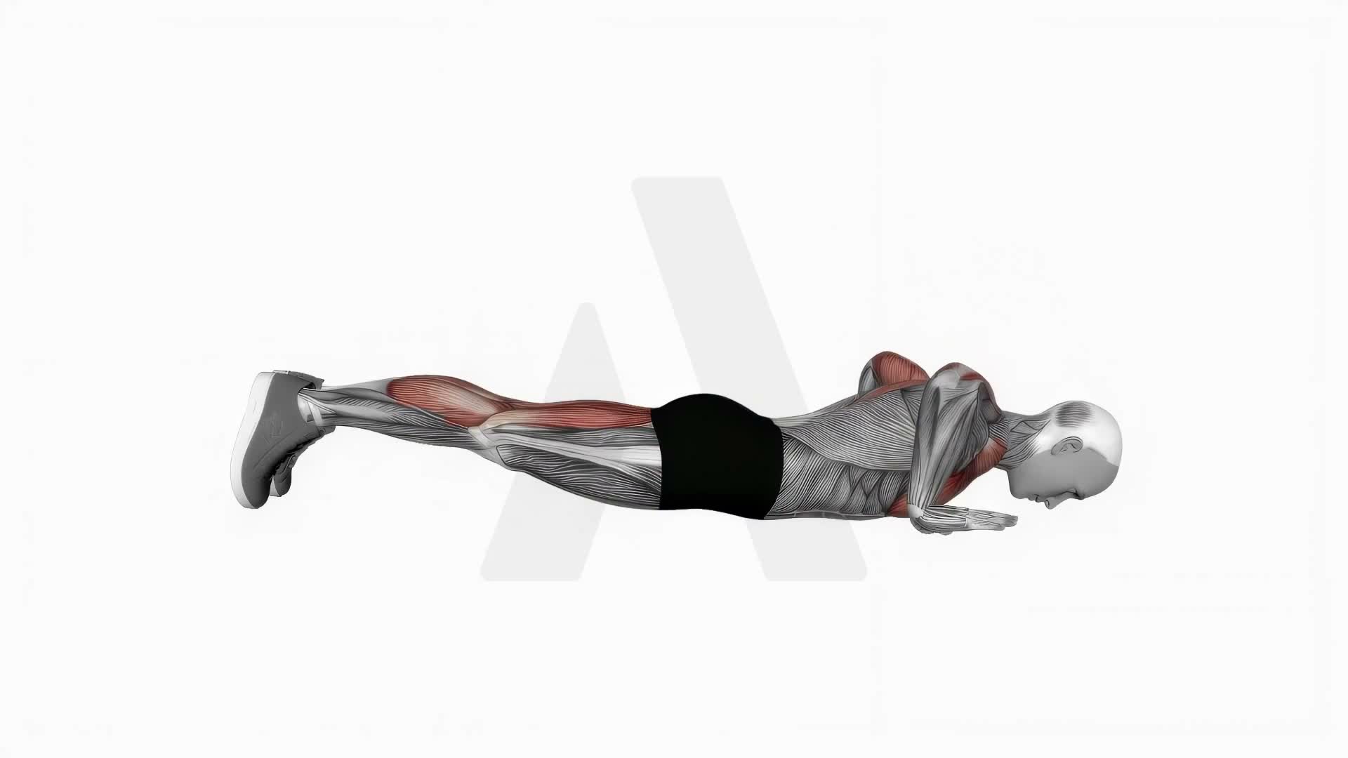 Cobra Full Push Up exercise demonstration