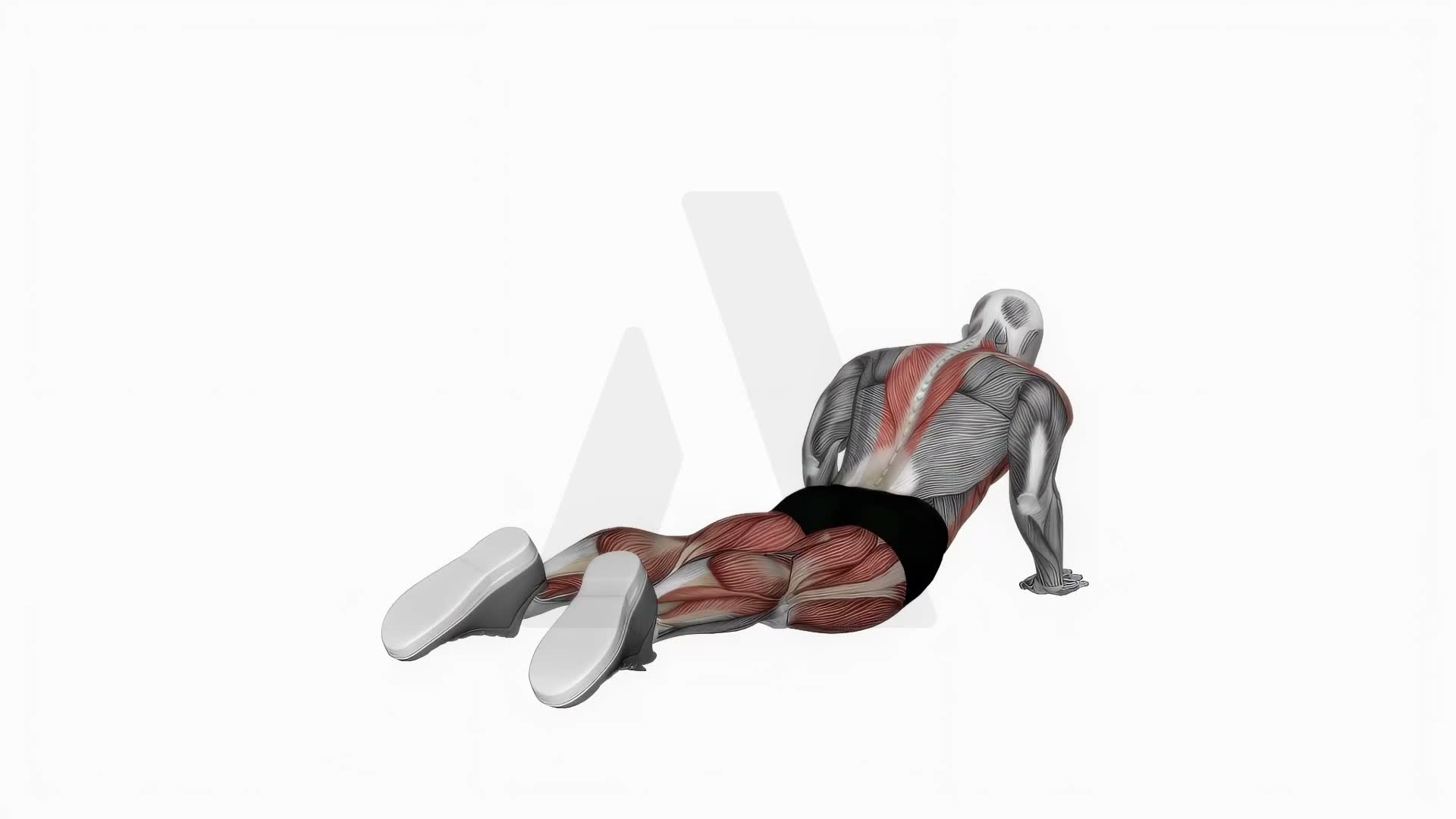 Cobra Side Ab Stretch exercise demonstration
