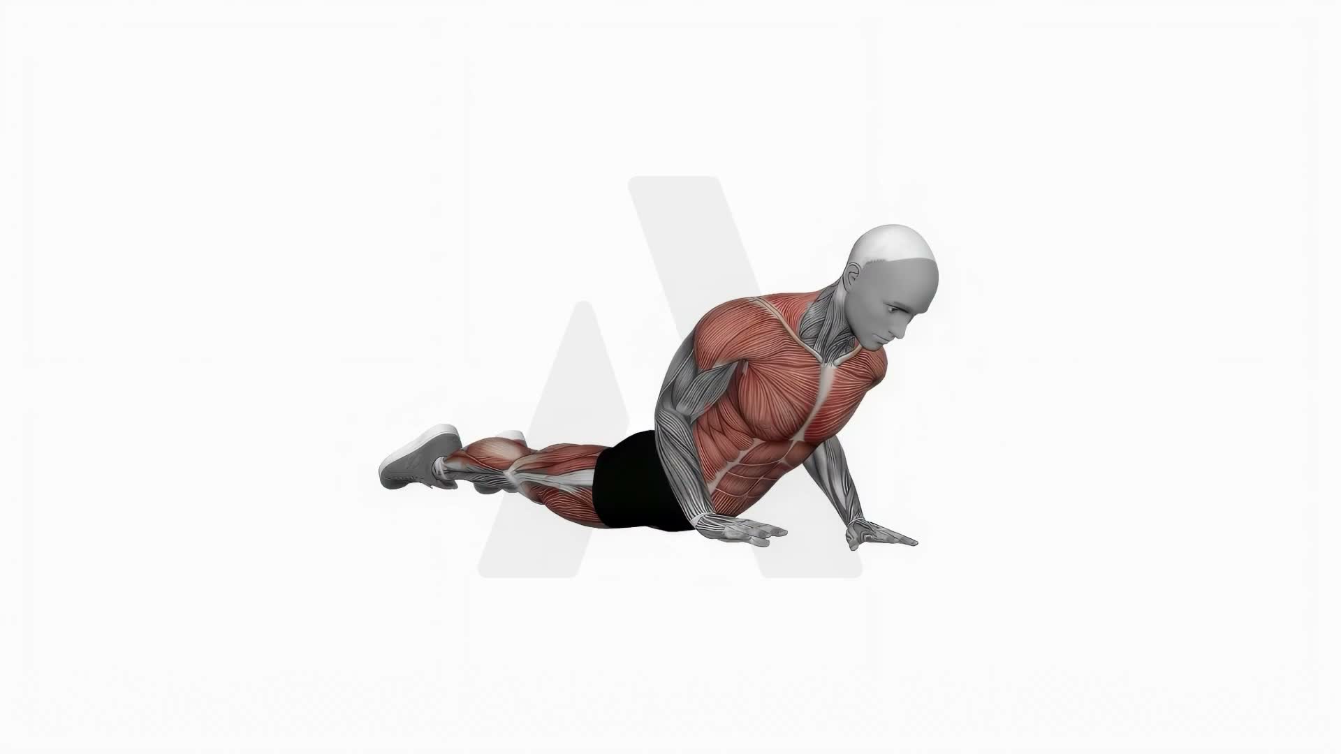Cobra Yoga Pose Hold exercise demonstration