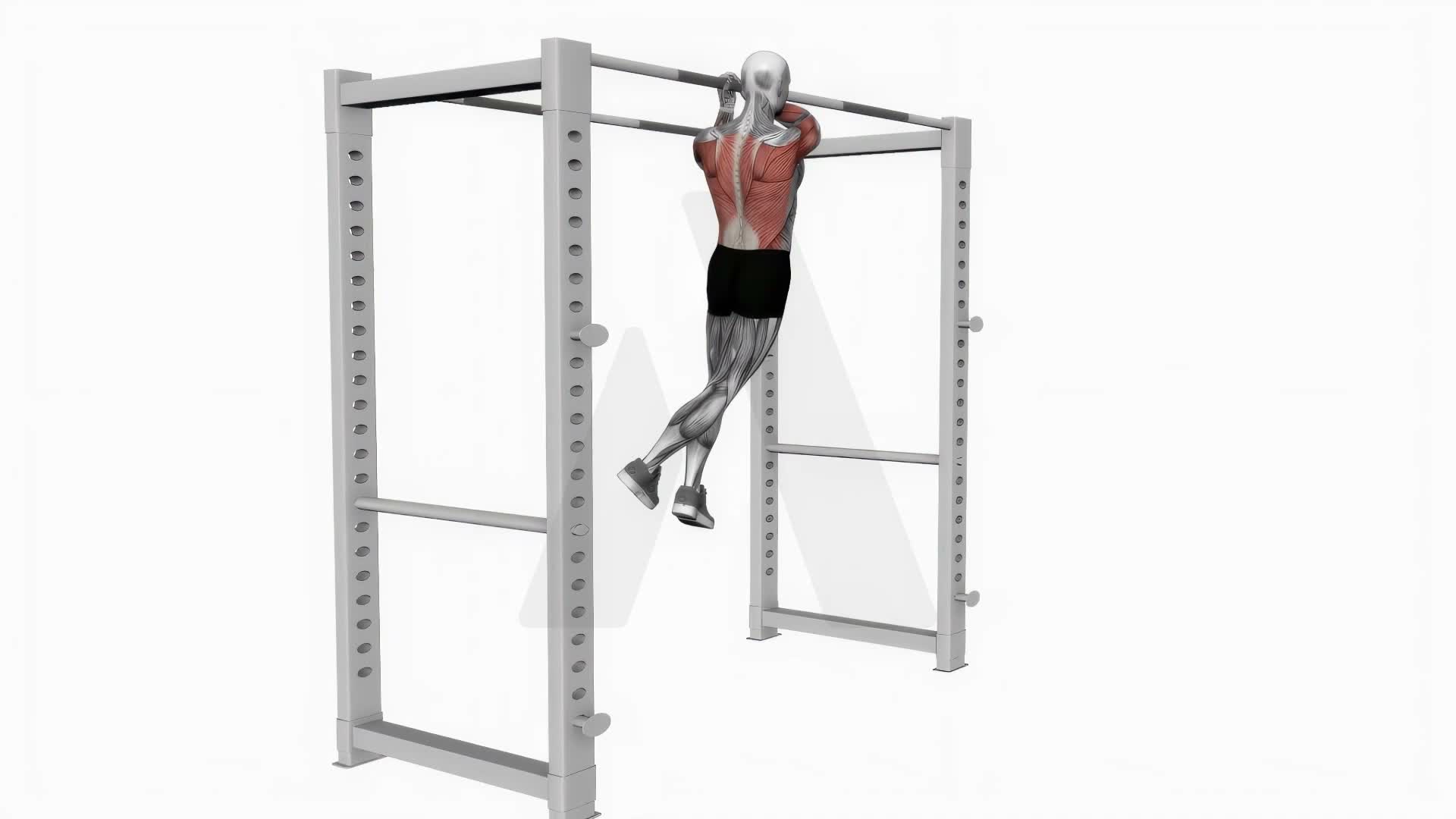 Commando Pull Up exercise demonstration
