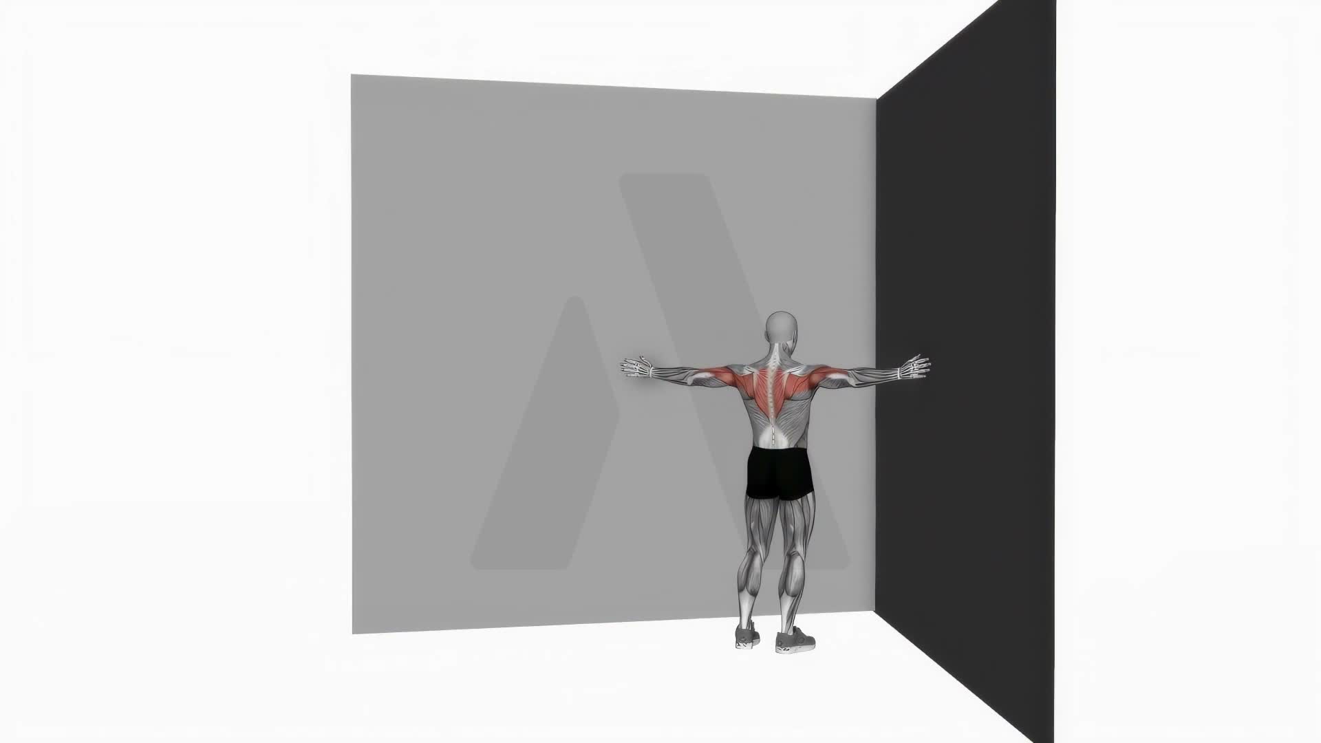 Corner Wall Chest Stretch exercise demonstration