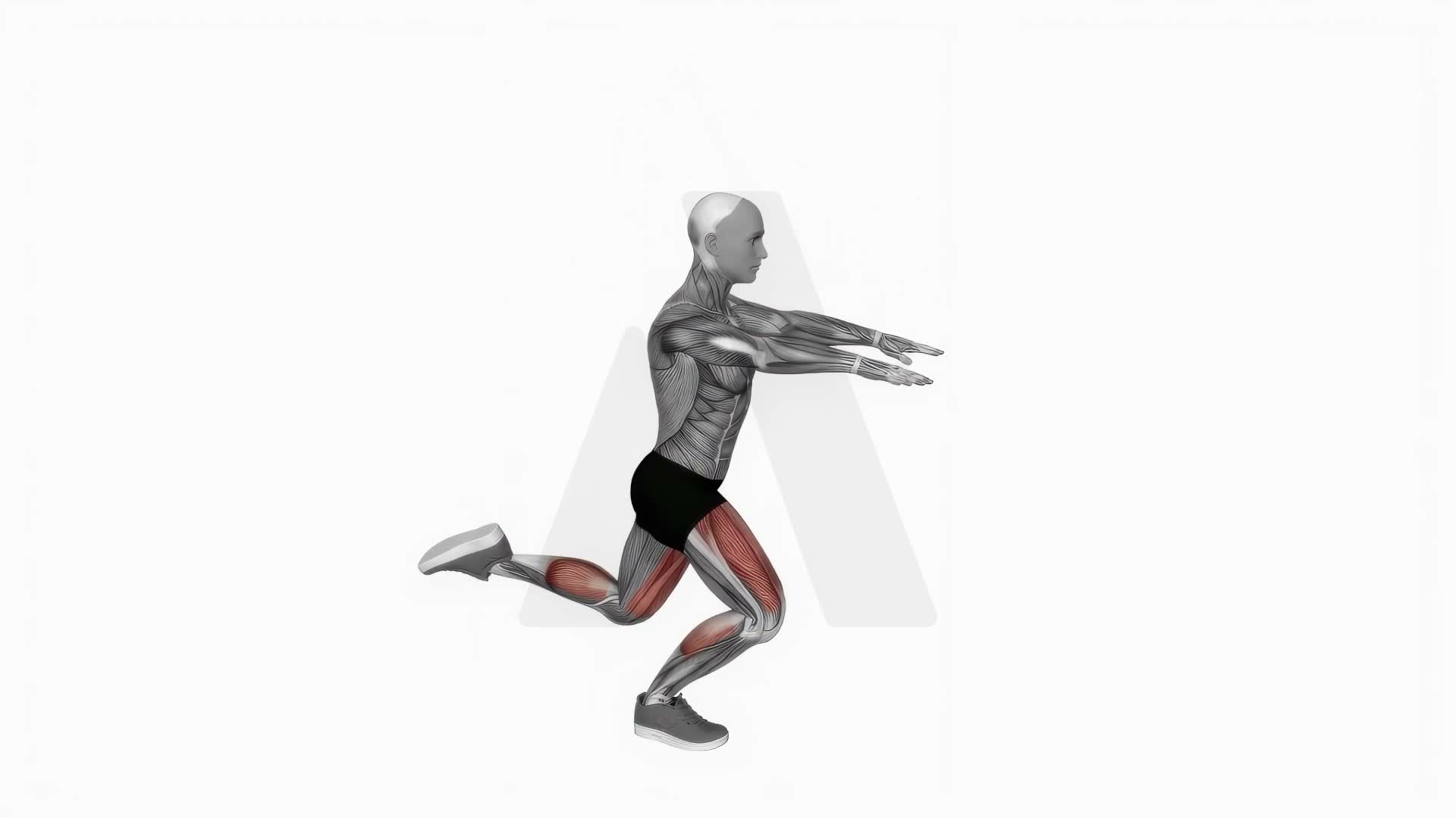 Counterbalanced Skater Squat exercise demonstration