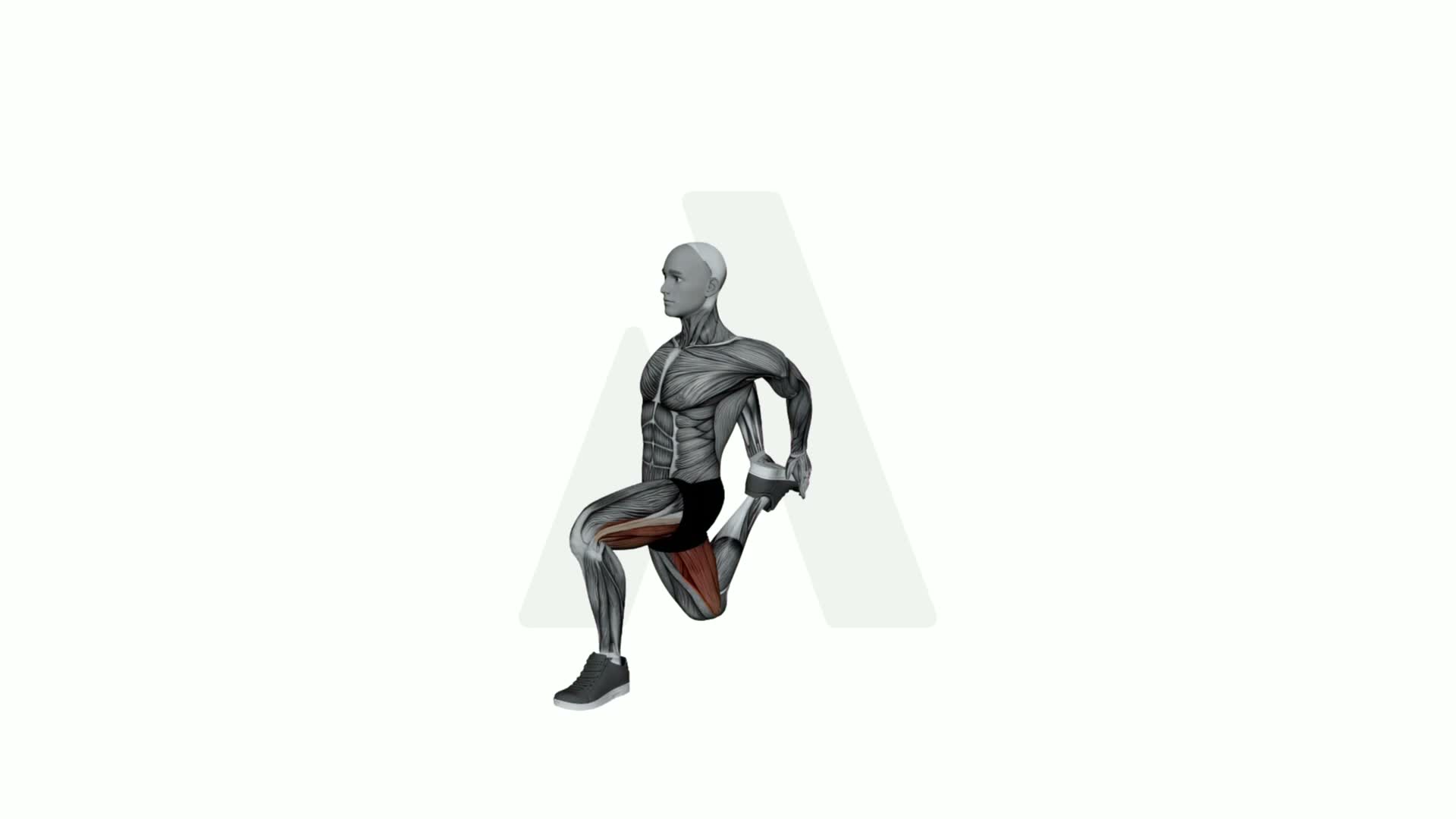 Crescent Moon Pose Quad Stretch exercise demonstration