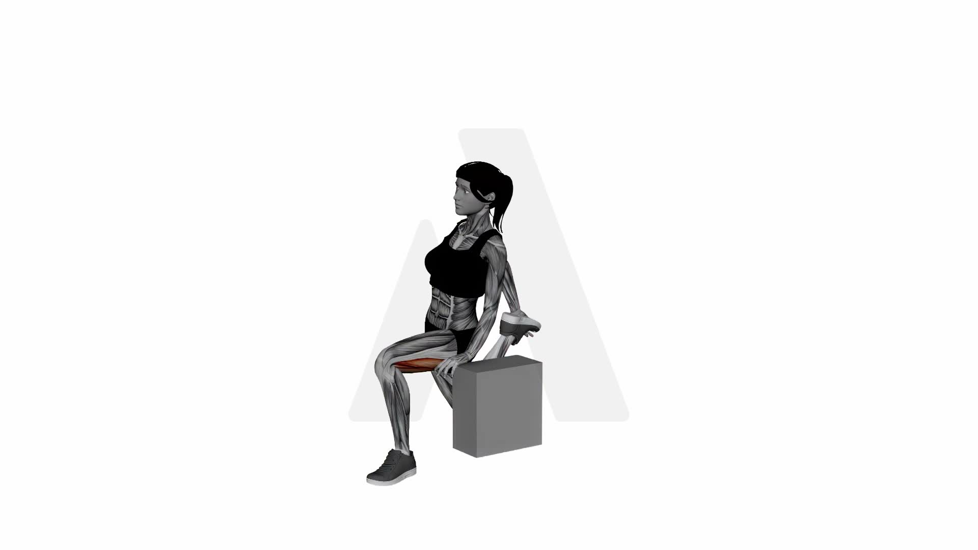 Crescent Moon Pose Quad Stretch With Block exercise demonstration