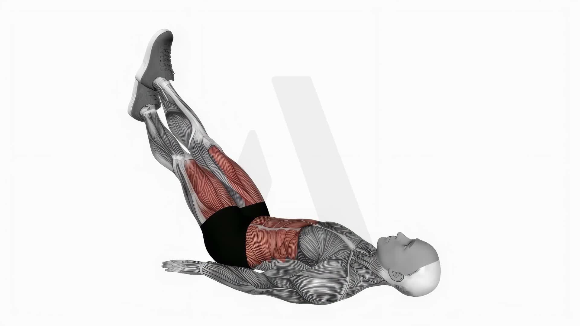 Criss Cross Leg Raises exercise demonstration