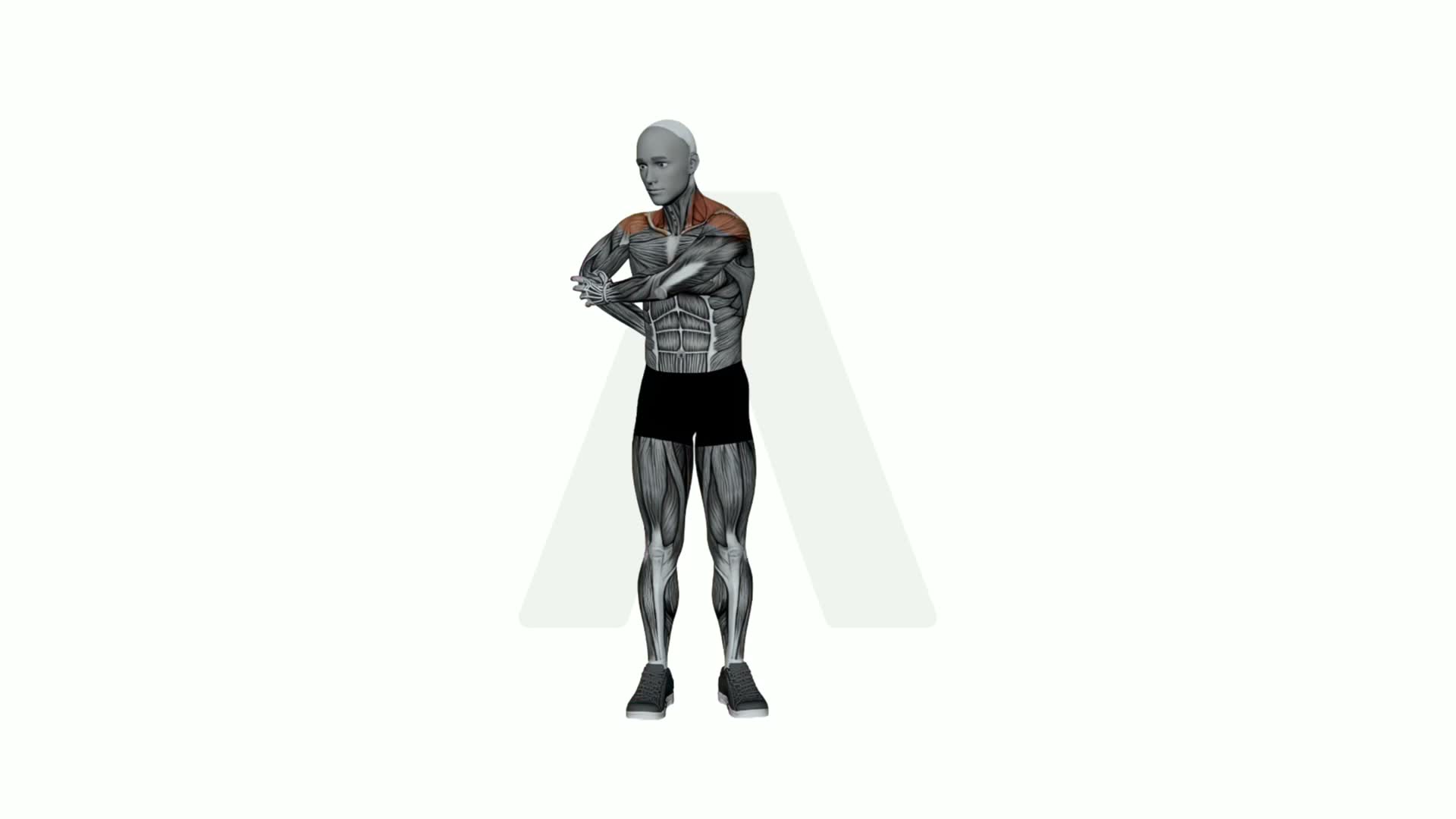 Cross Body Elbow Pull Shoulder Stretch exercise demonstration
