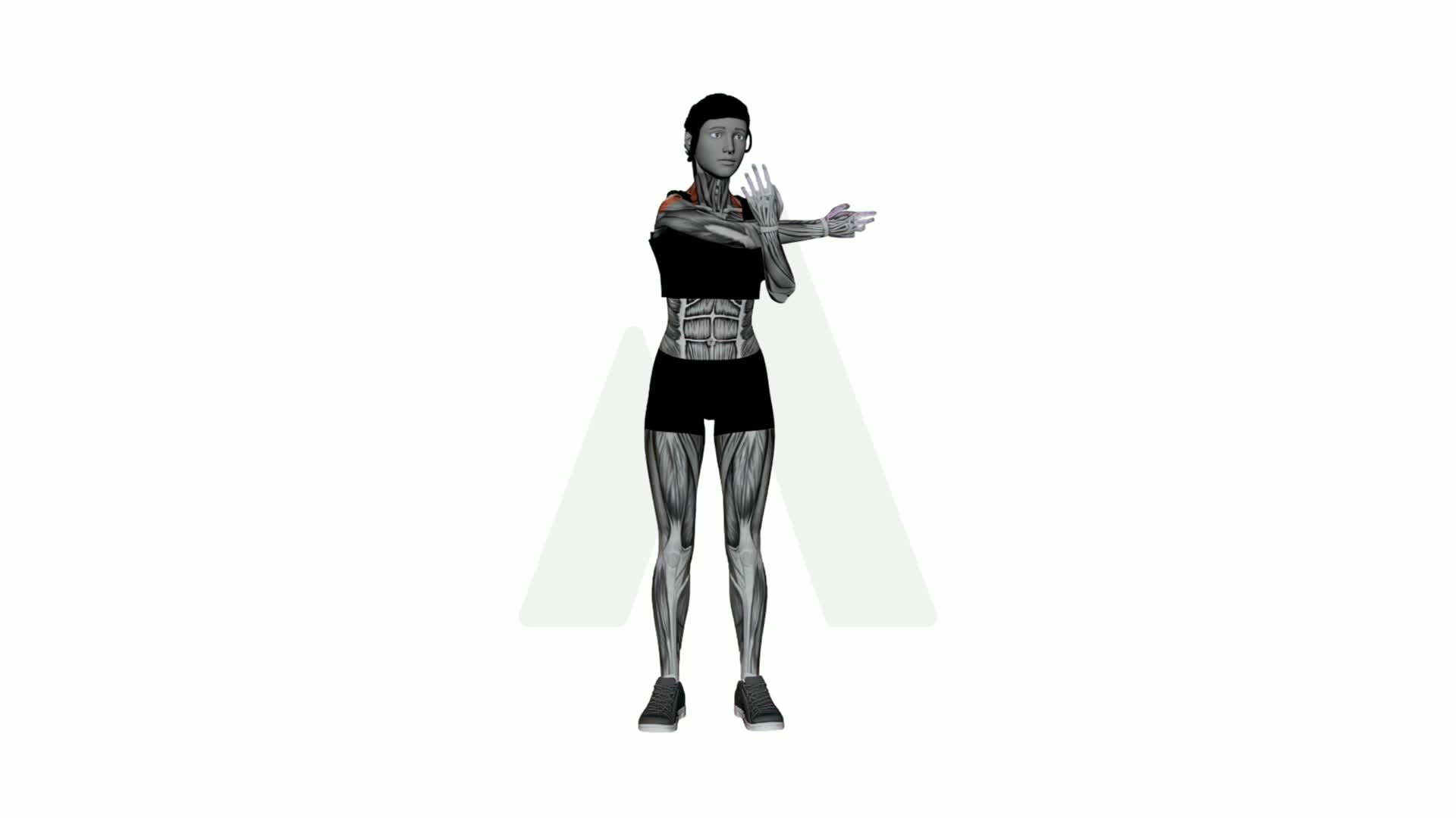 Cross Body Shoulder Stretch exercise demonstration