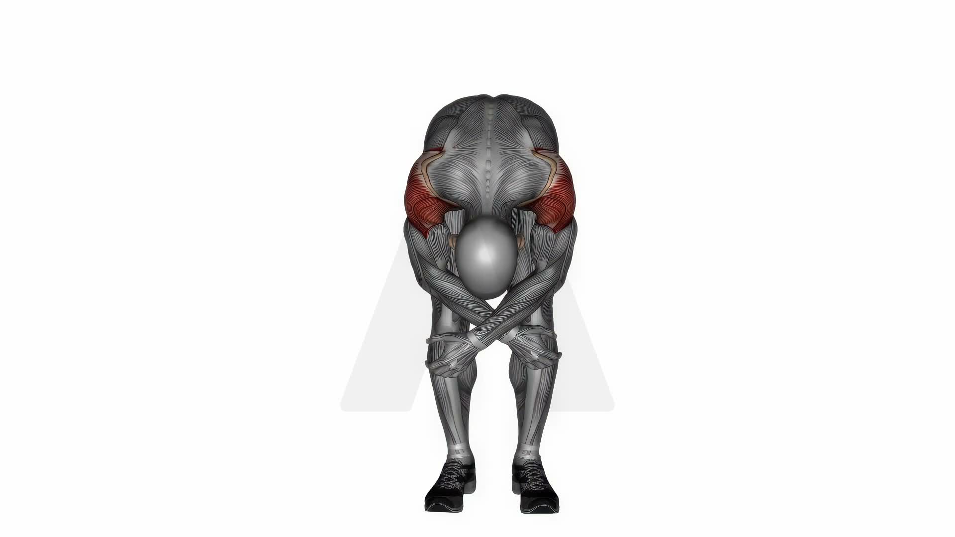 Cross Over Shoulder Stretch exercise demonstration