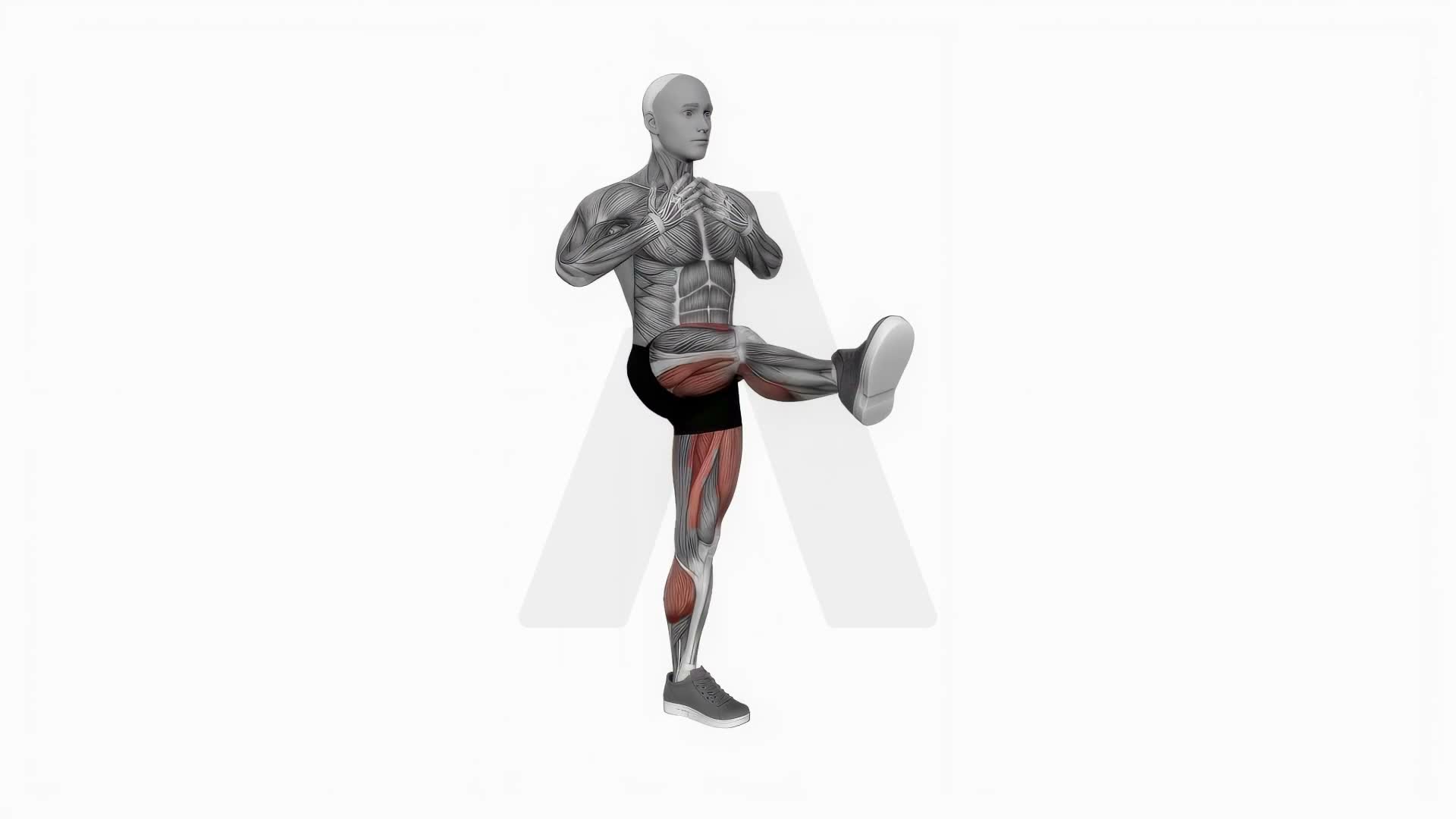 Crossed Arms Front Leg Kick exercise demonstration