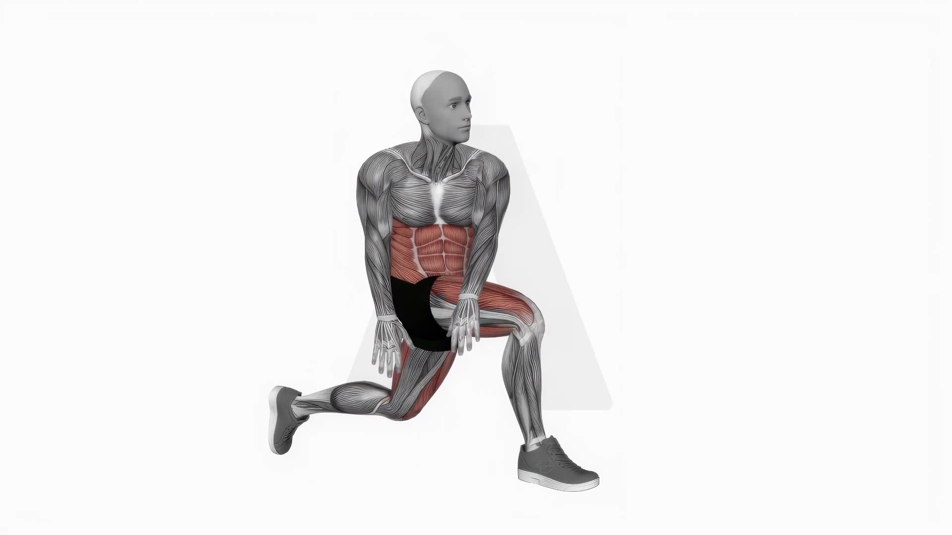 Crossover Kneeling Hip Flexor Stretch exercise demonstration