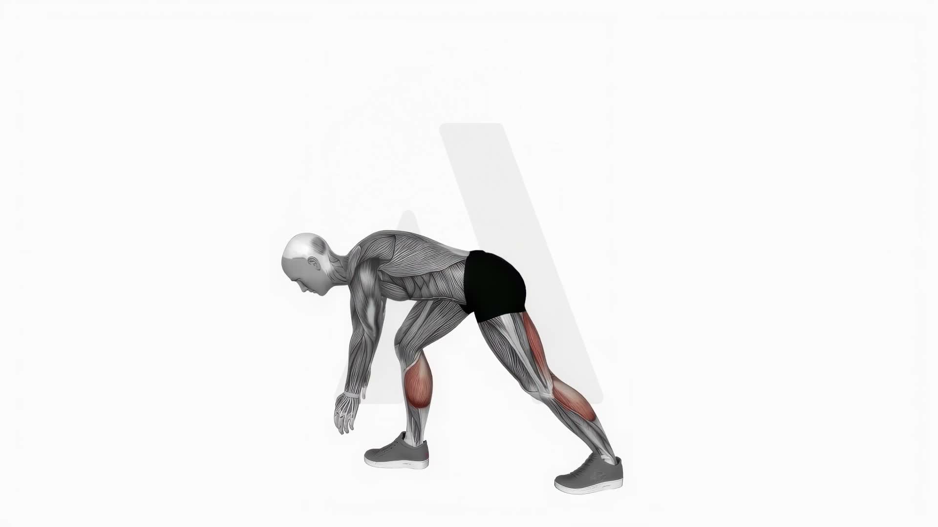 Crouching Heel Back Calf Stretch exercise demonstration