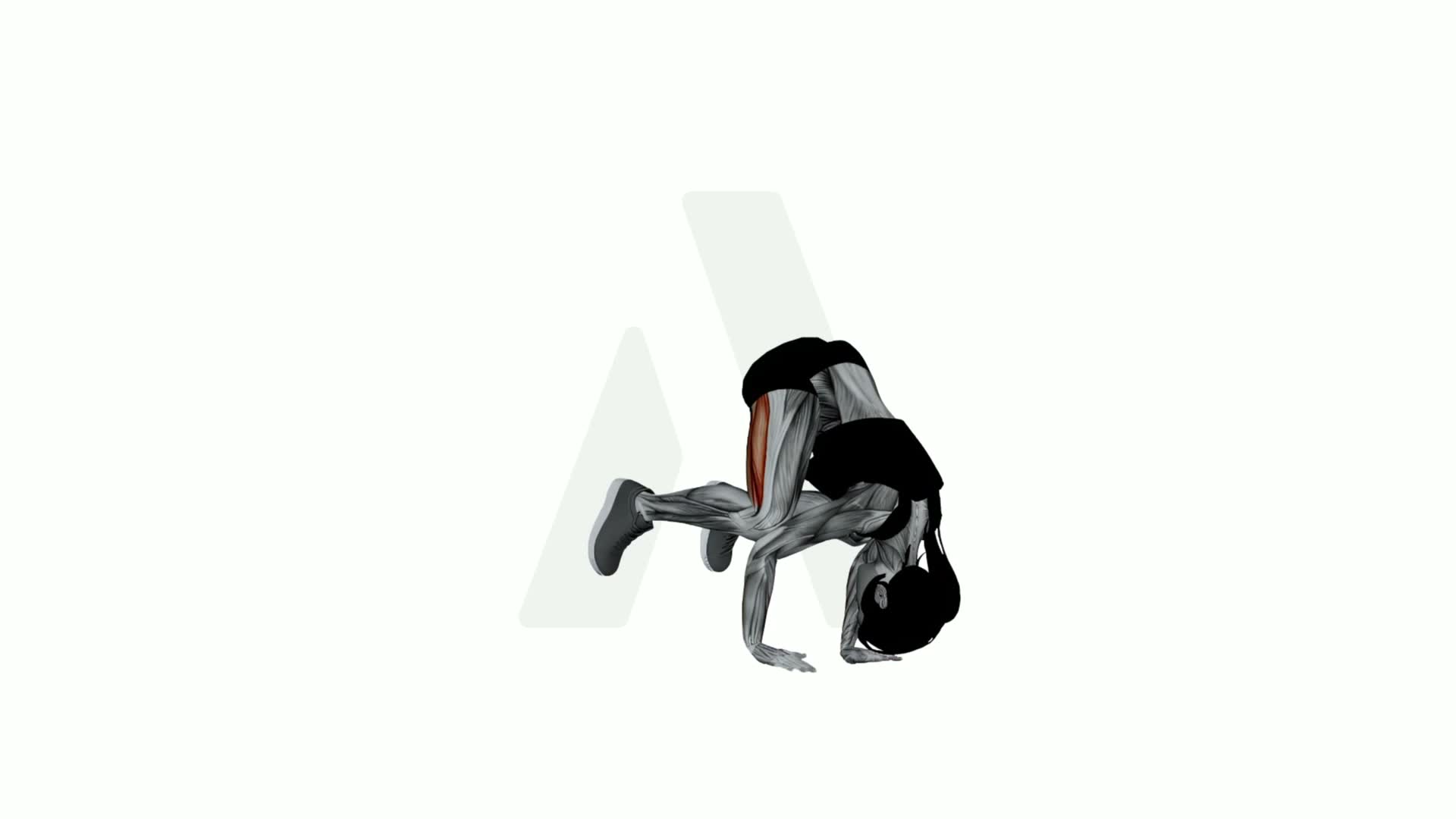 Crow Pose exercise demonstration