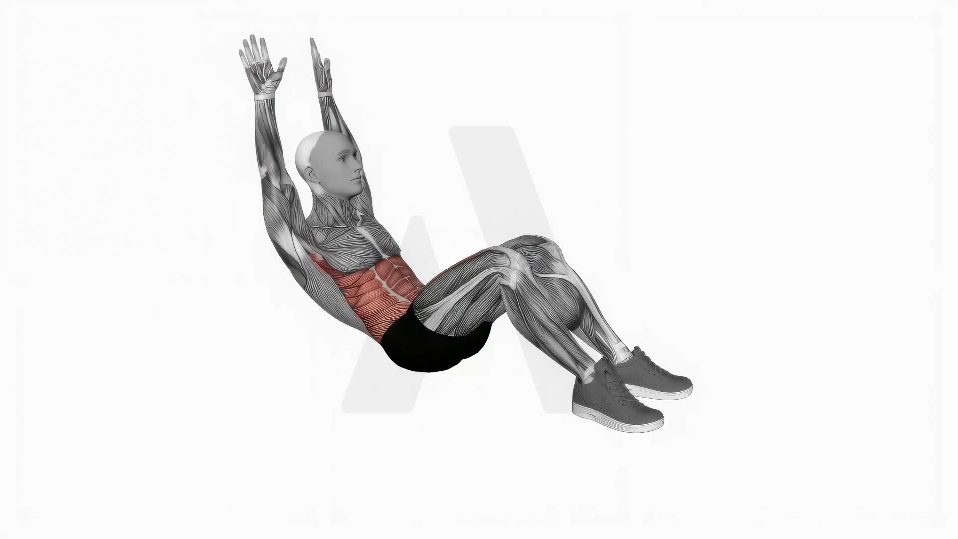 Crunch (Arms Straight) exercise demonstration