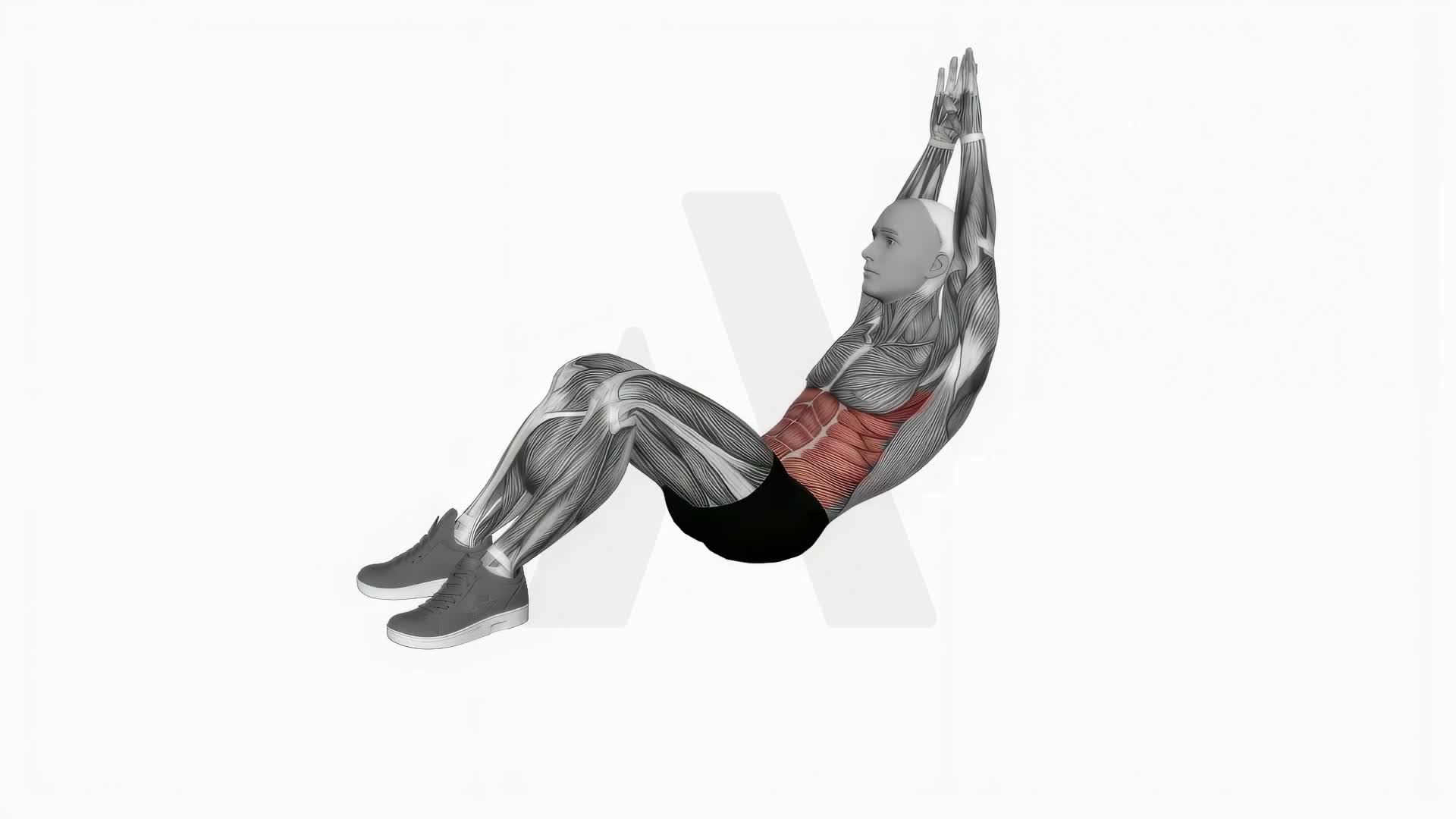 Crunch (Hands Overhead) exercise demonstration