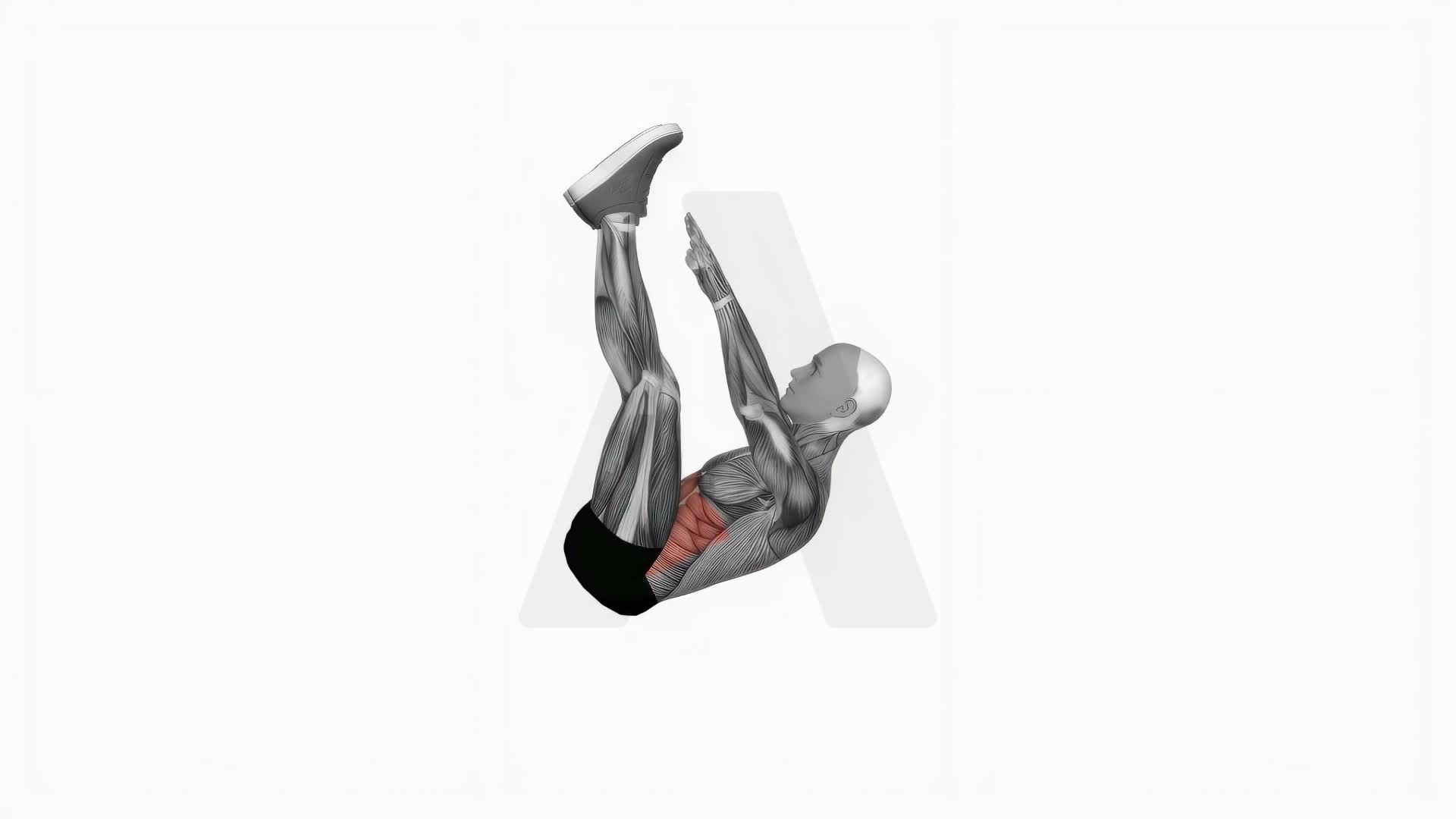 Crunch (Straight Leg Up) exercise demonstration