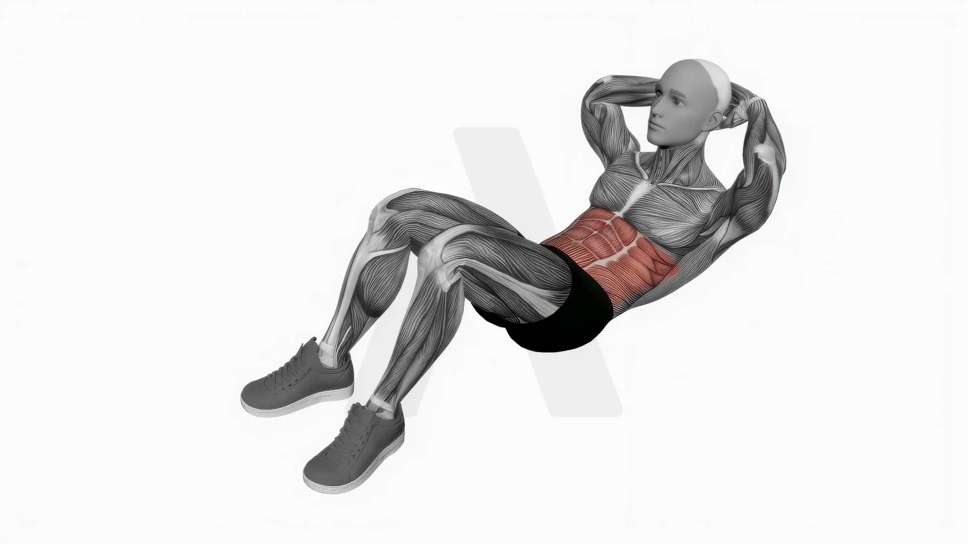 Crunch exercise demonstration