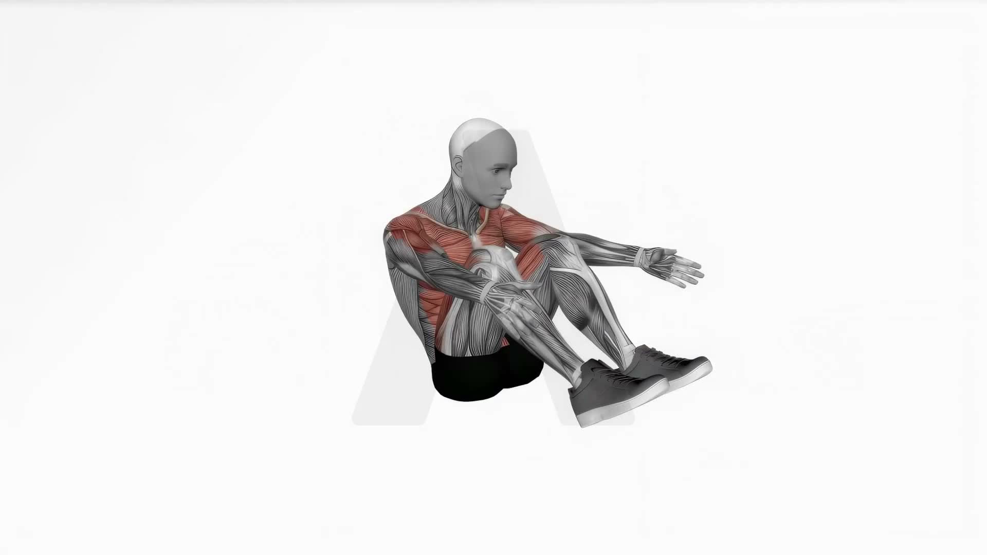Crunch Frog On Floor exercise demonstration