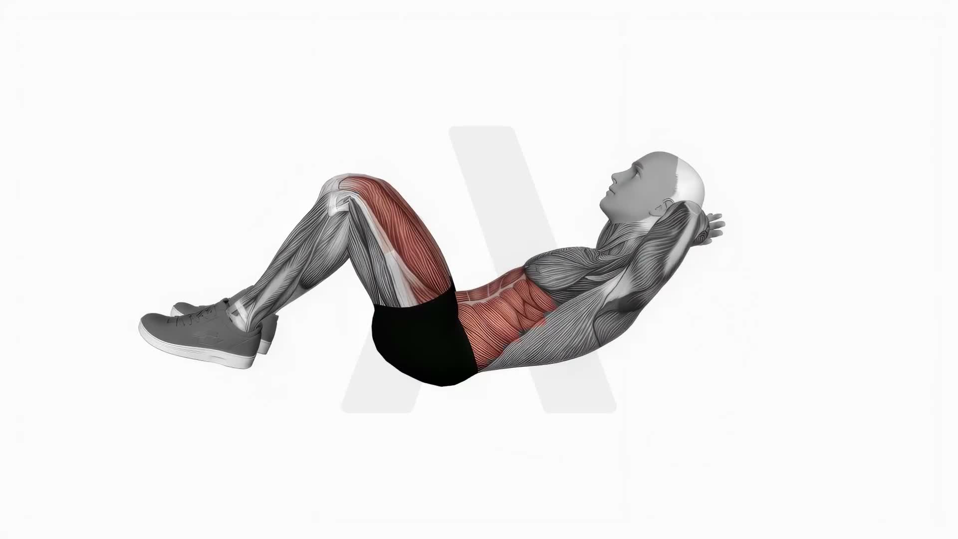 Crunch Leg Raise exercise demonstration