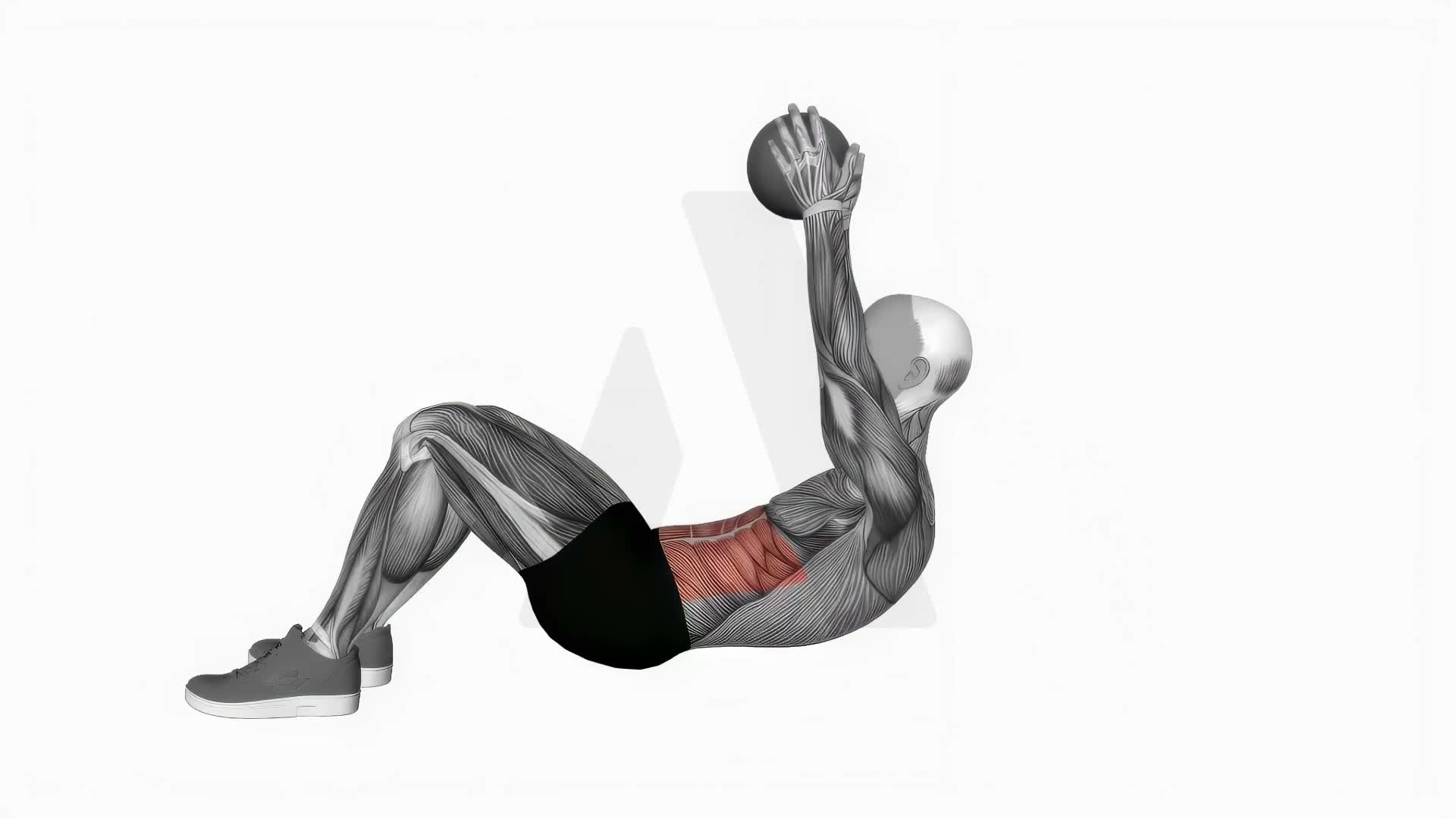 Crunch With Medicine Ball exercise demonstration