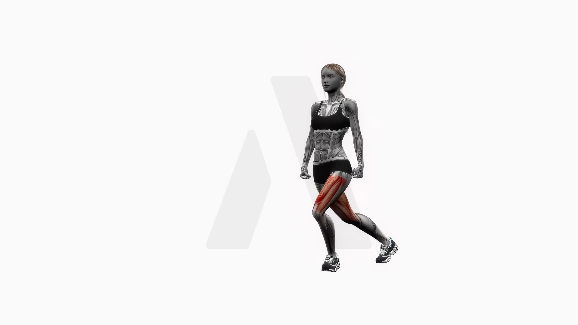 Curtsy Lunge Bodyweight exercise demonstration