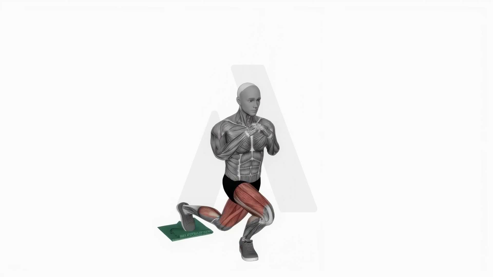 Curtsy Lunge Slide With Towel exercise demonstration