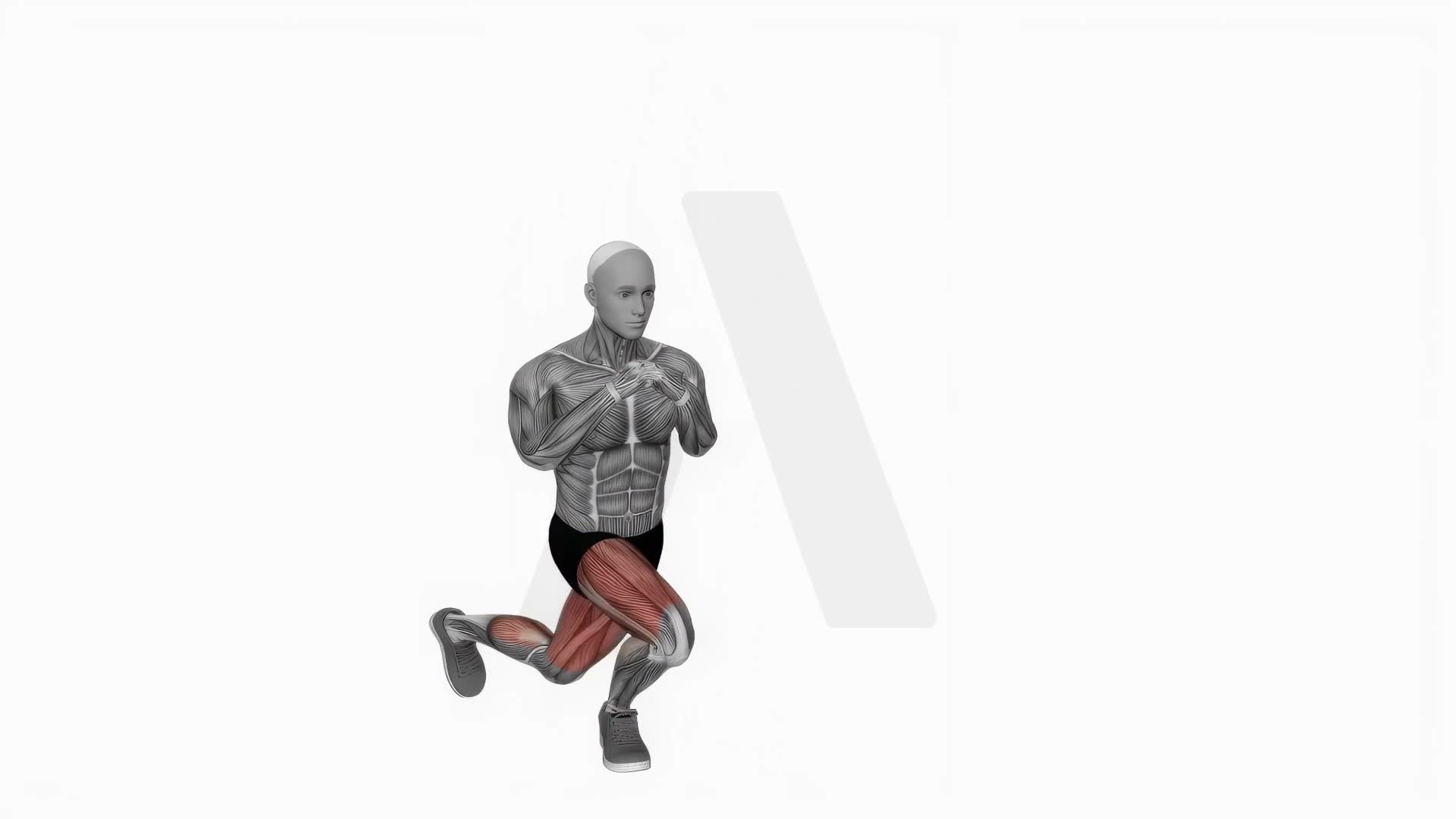 Curtsy Squat exercise demonstration