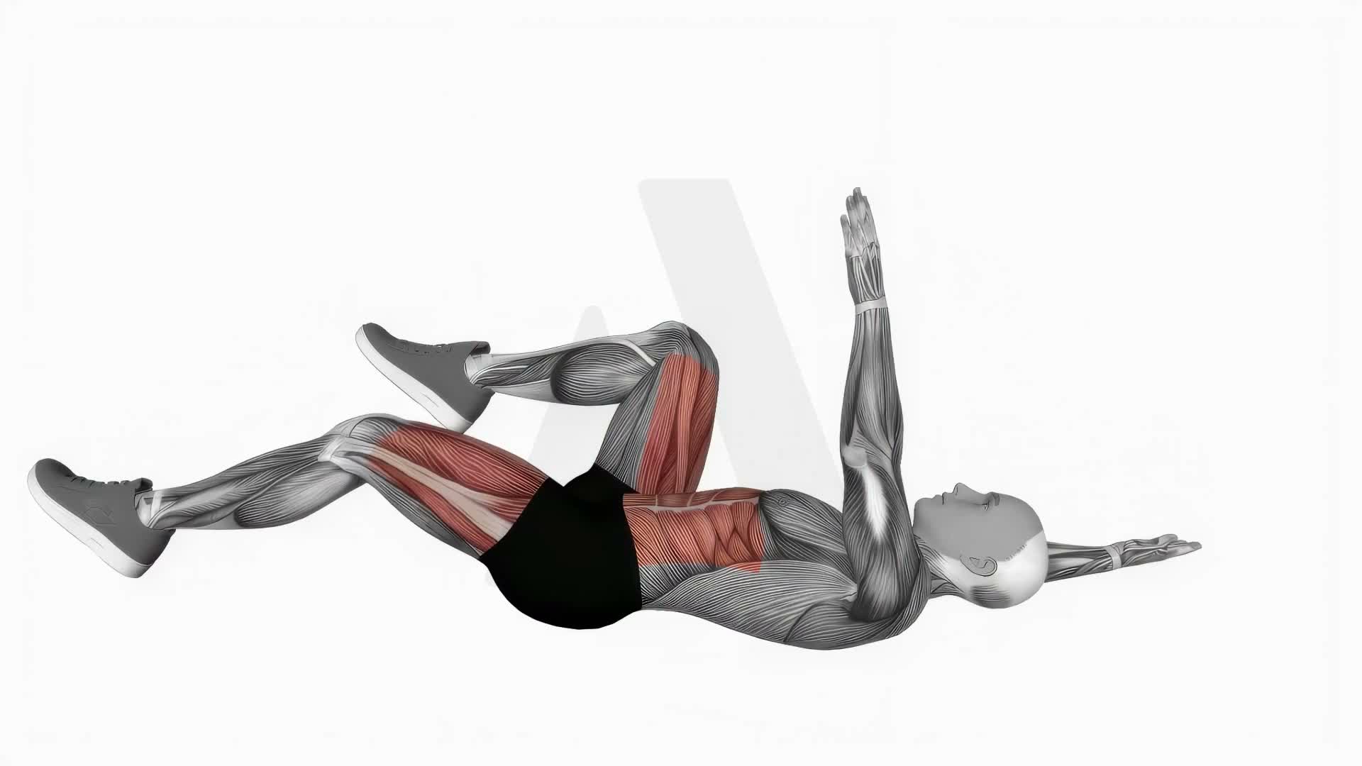 Dead Bug Exercise exercise demonstration