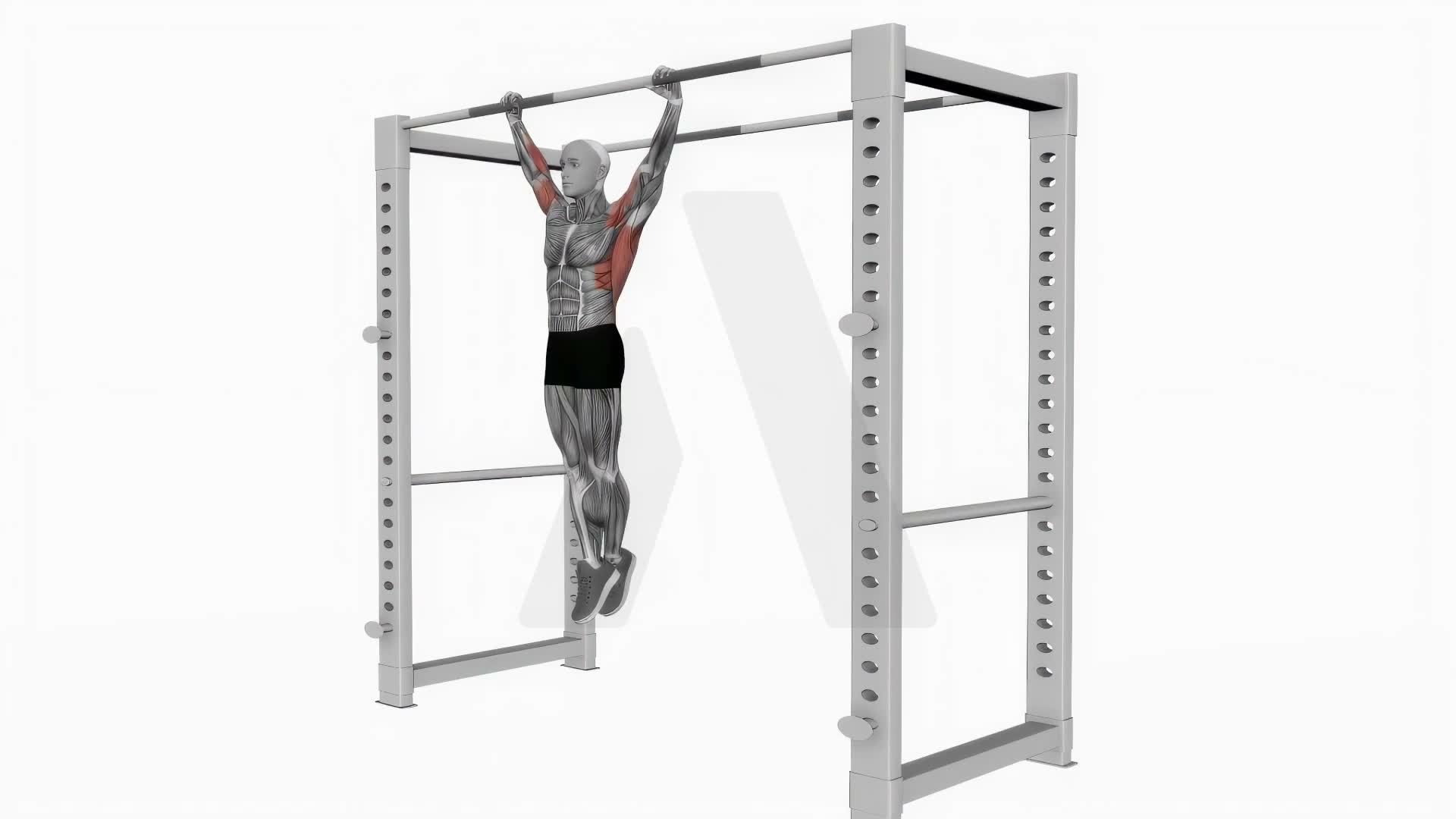 Dead Hang Stretch exercise demonstration