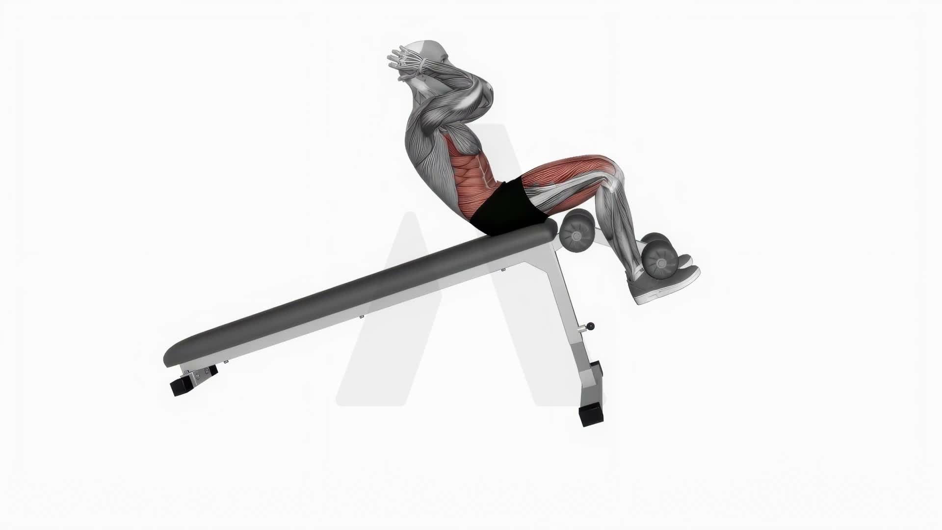 Decline Bench Full Sit Up exercise demonstration