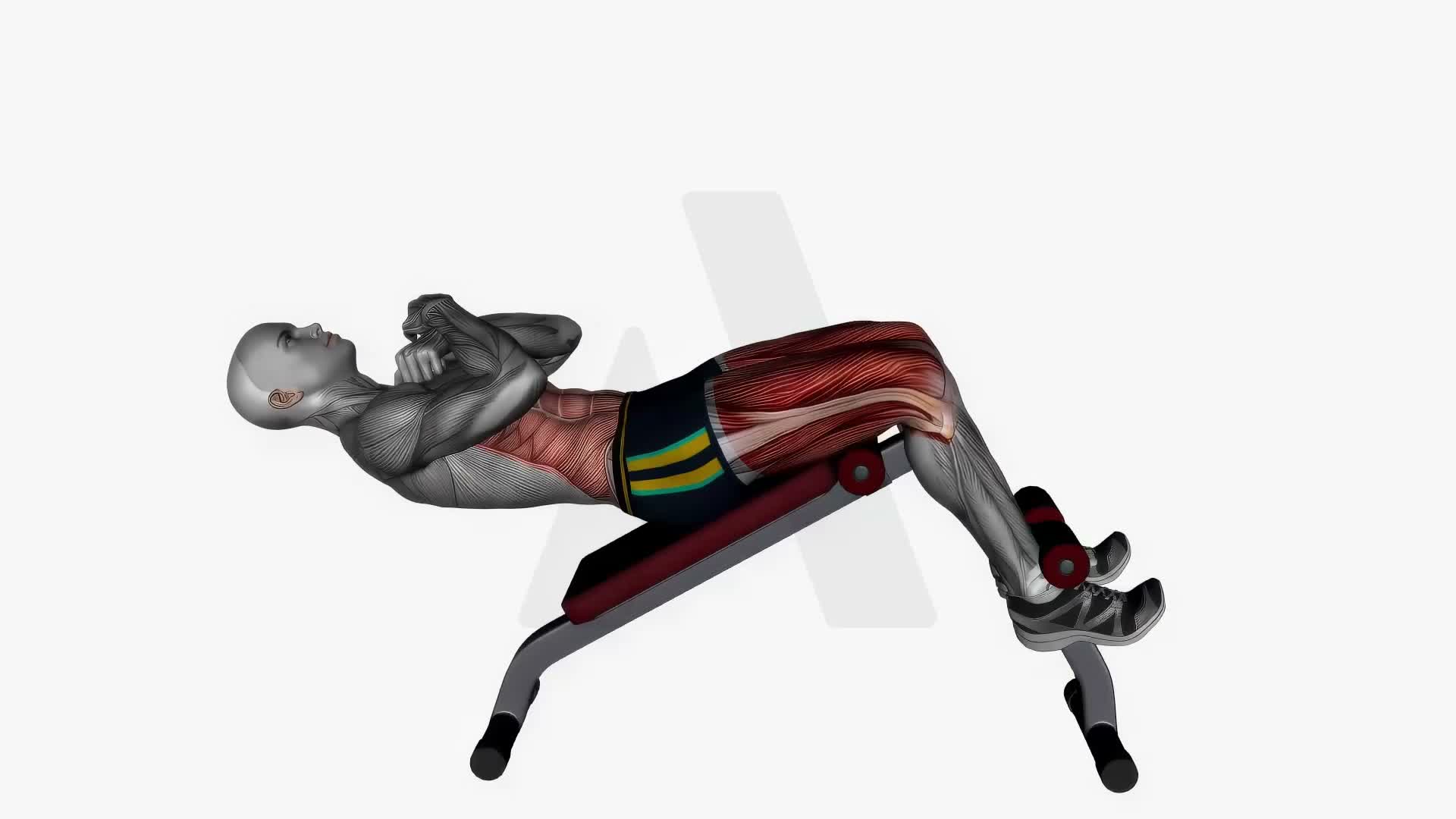 Decline Bench Oblique Crunches Bodyweight exercise demonstration