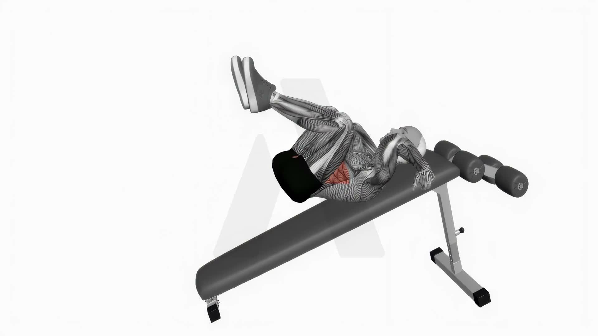 Decline Bent Leg Reverse Crunch exercise demonstration