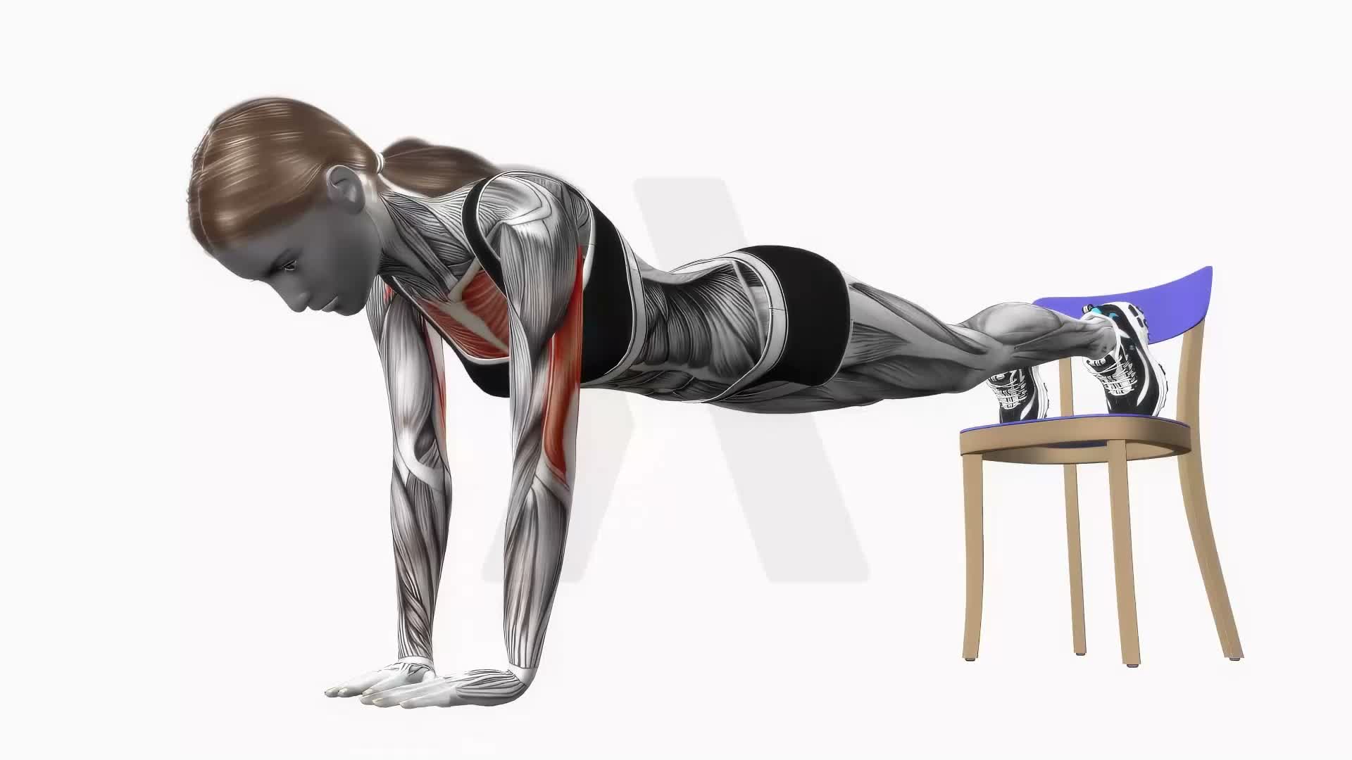 Decline Chair Push Up Diamond exercise demonstration