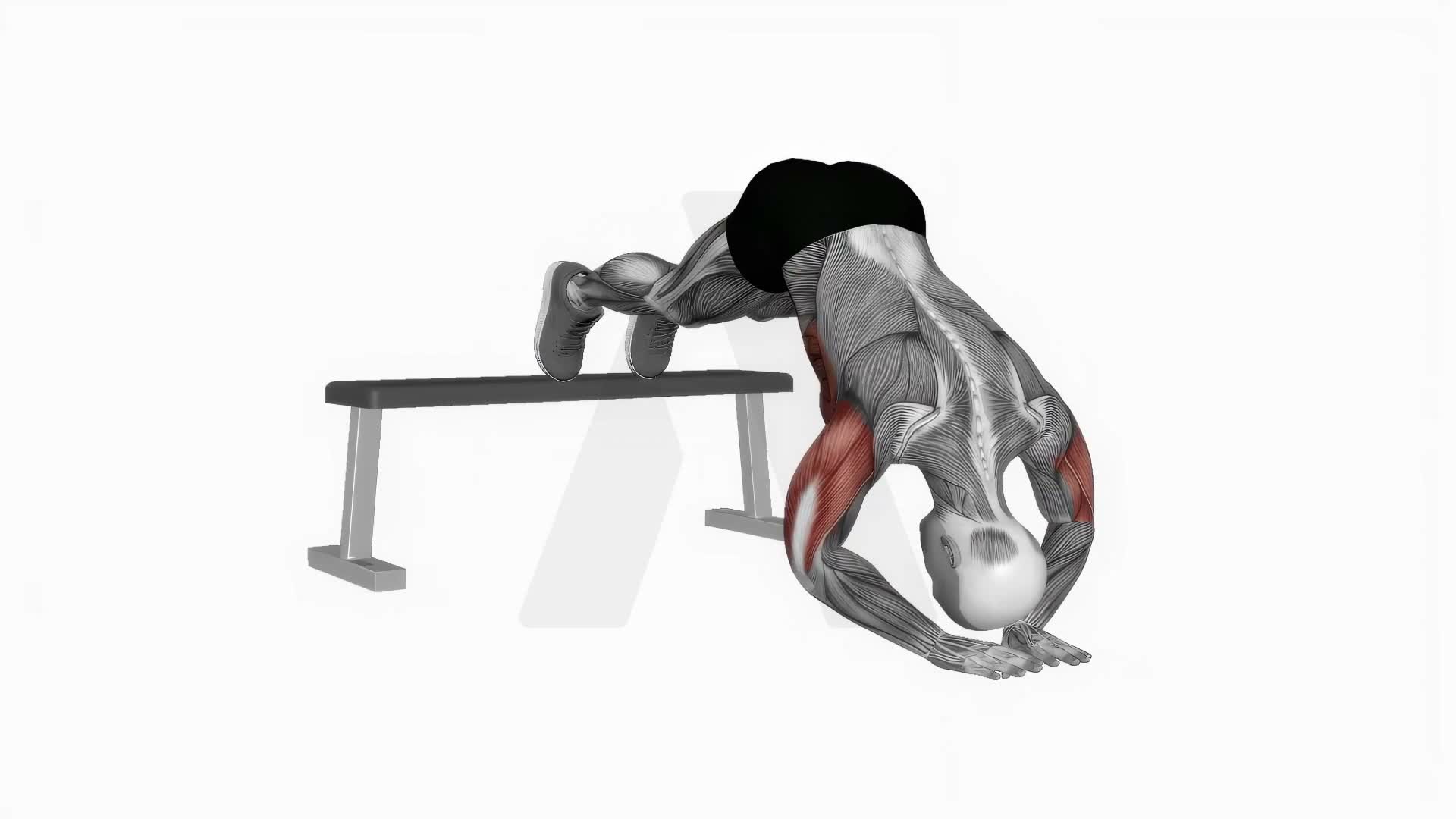 Decline Diamond Pike Push Up exercise demonstration