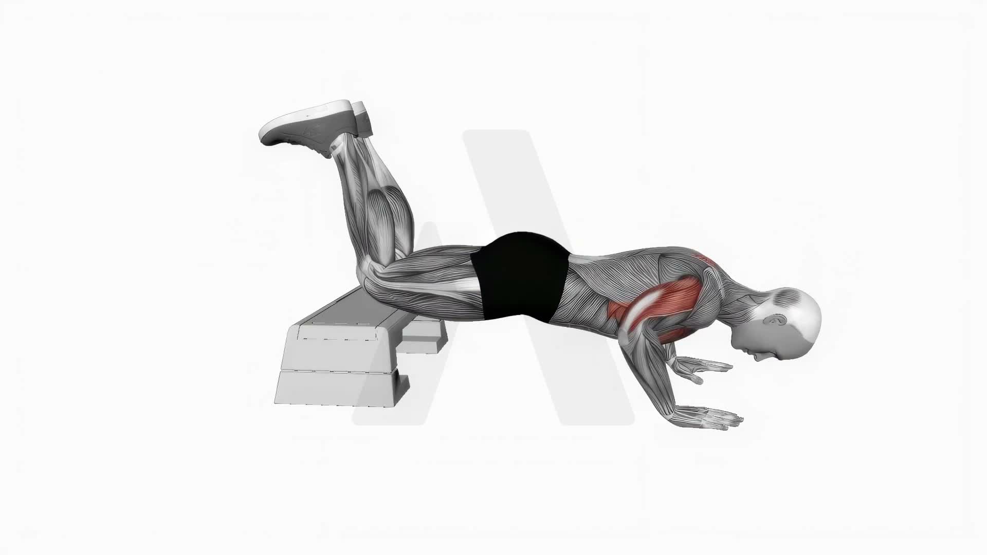 Decline Kneeling Push Up exercise demonstration