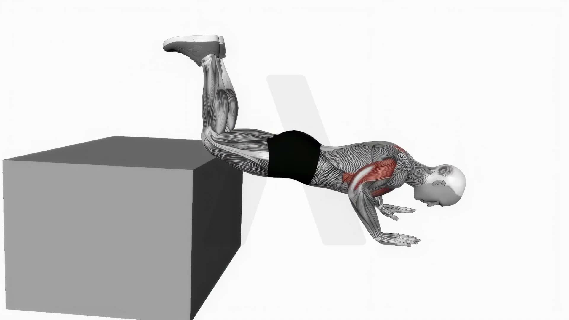 Decline Kneeling Push Up On Box exercise demonstration