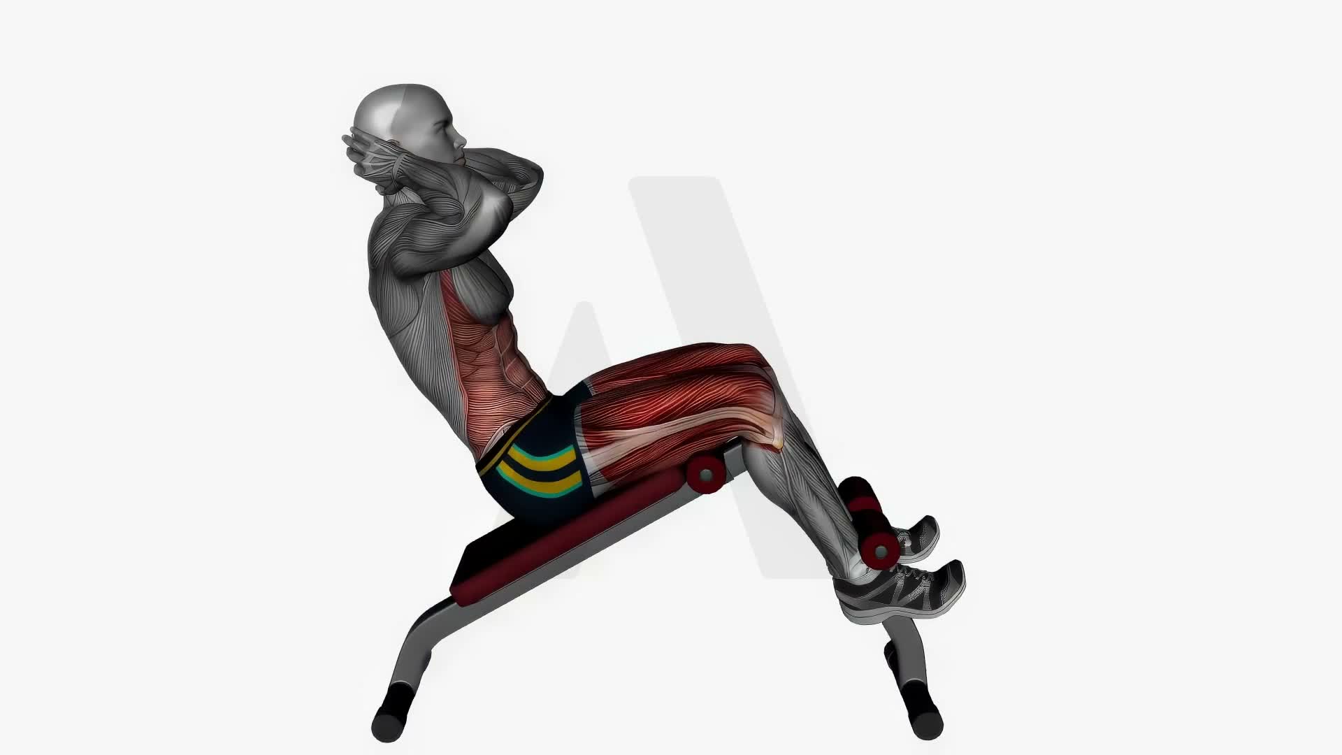 Decline Levitating Sit Ups Bodyweight exercise demonstration