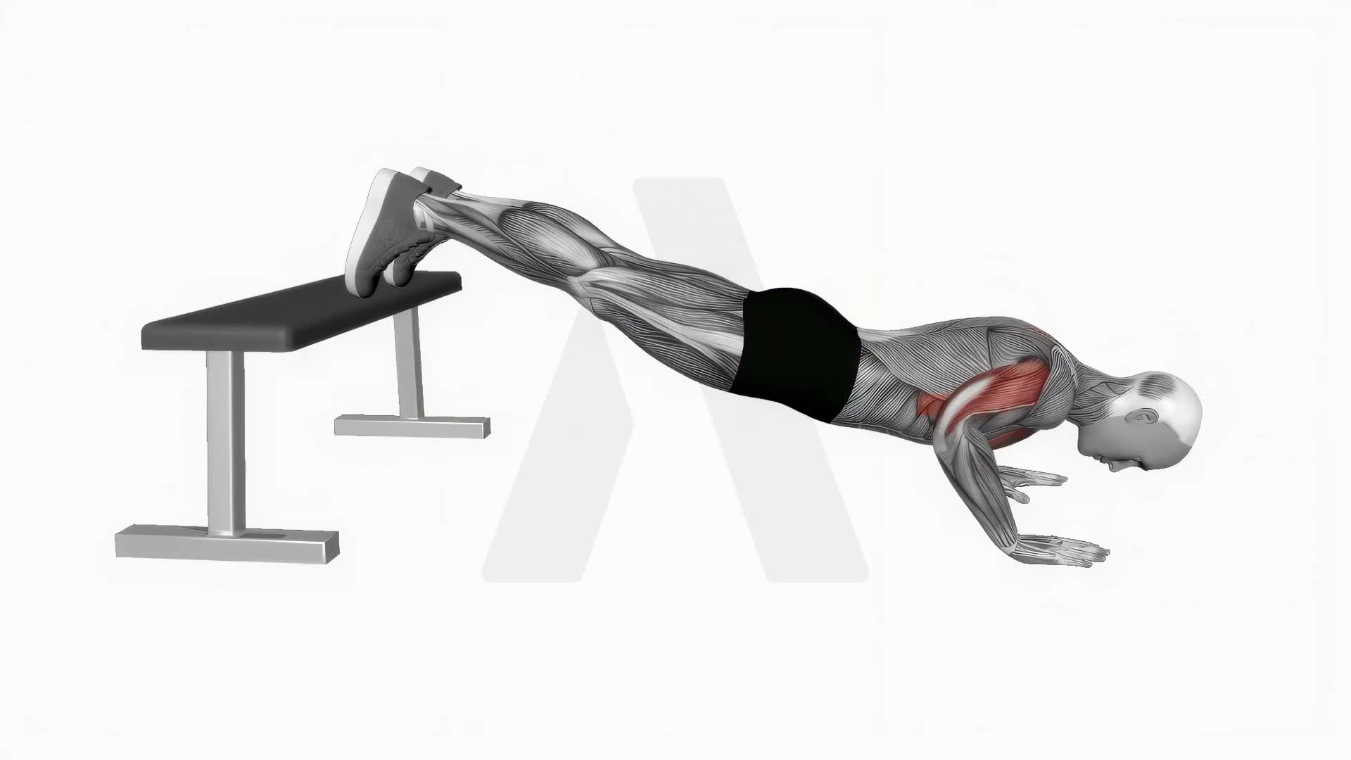 Decline Push Up exercise demonstration