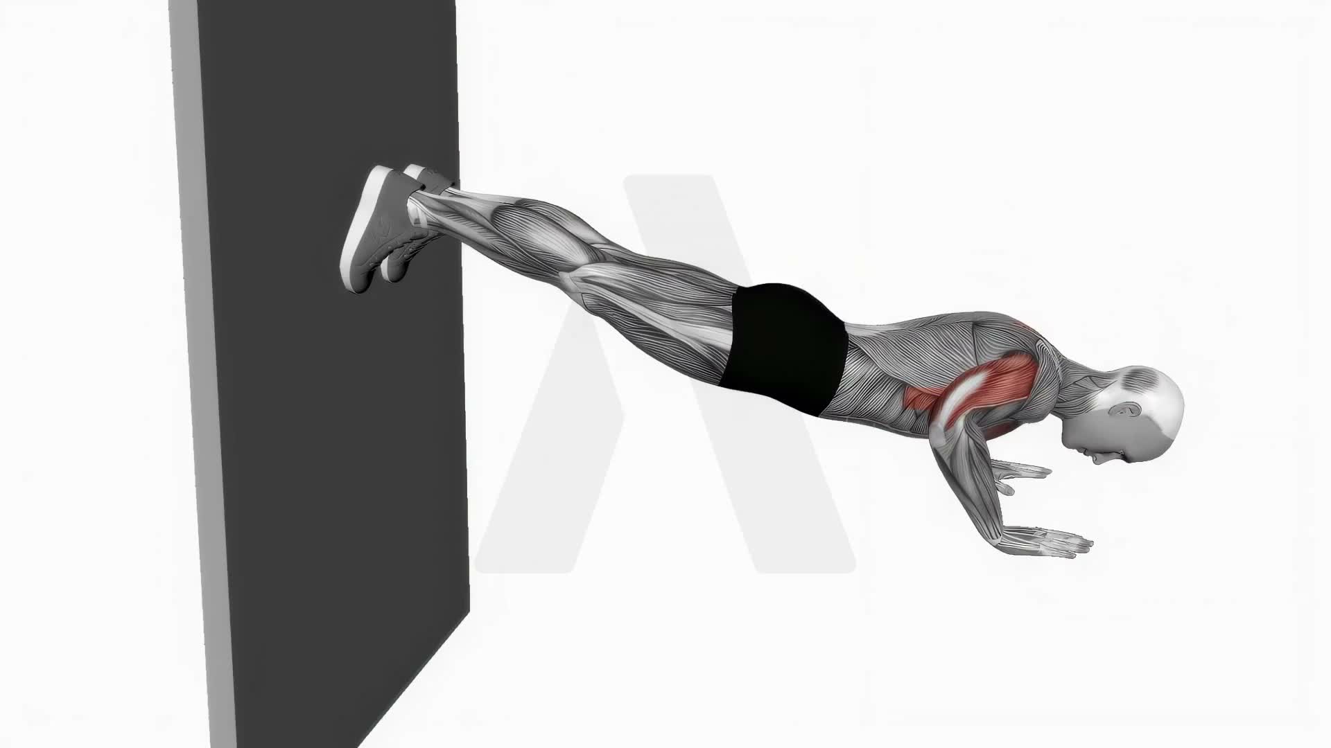Decline Push Up Against Wall exercise demonstration