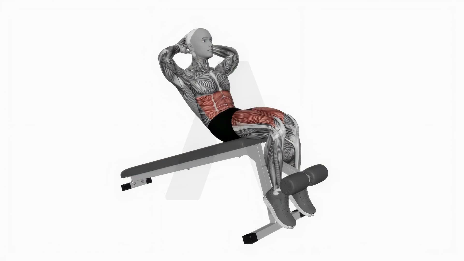Decline Sit Up exercise demonstration