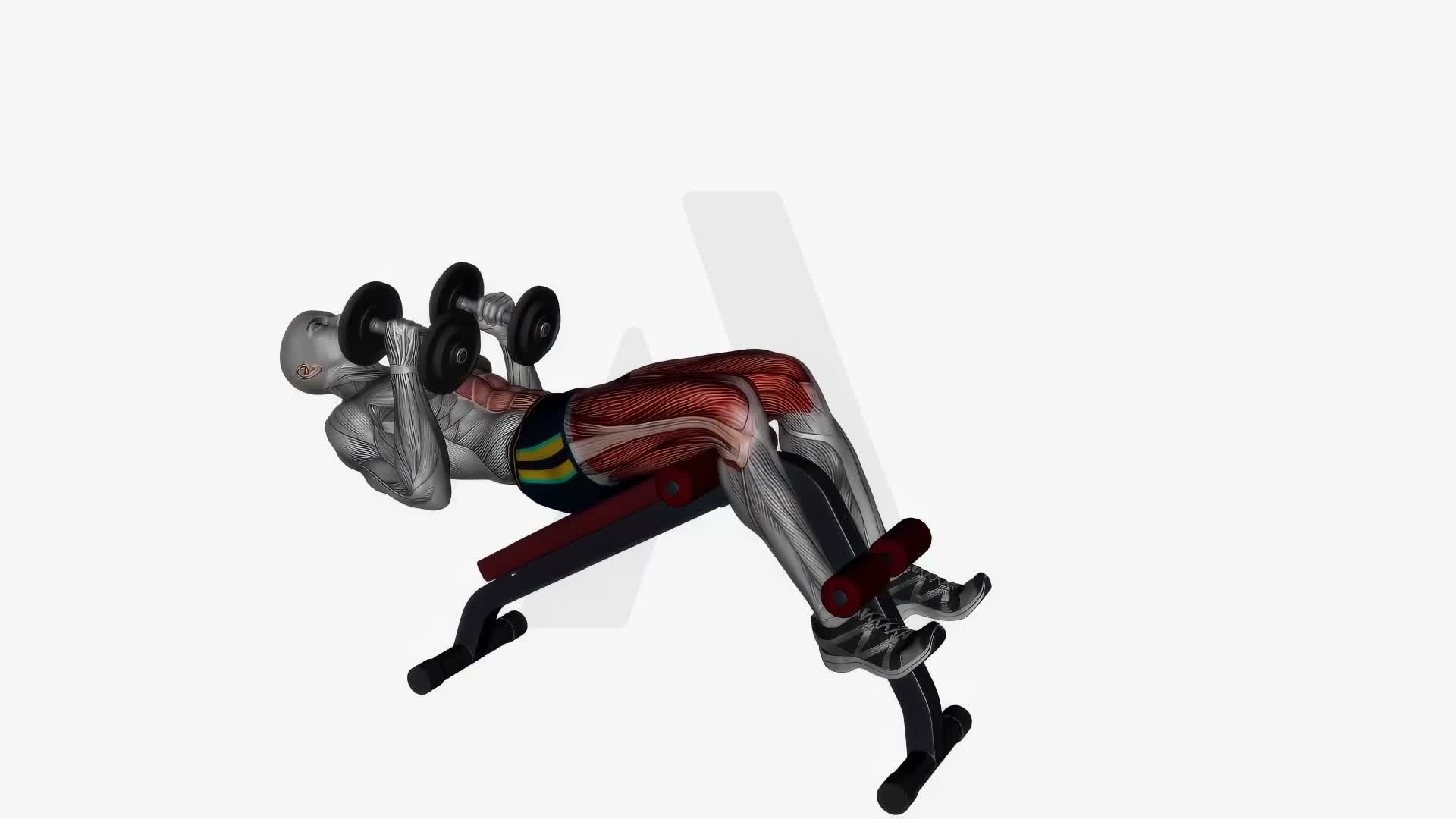 Decline Sit Ups Dumbbells exercise demonstration