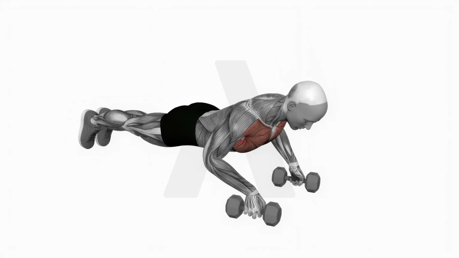 Deep Push Up exercise demonstration